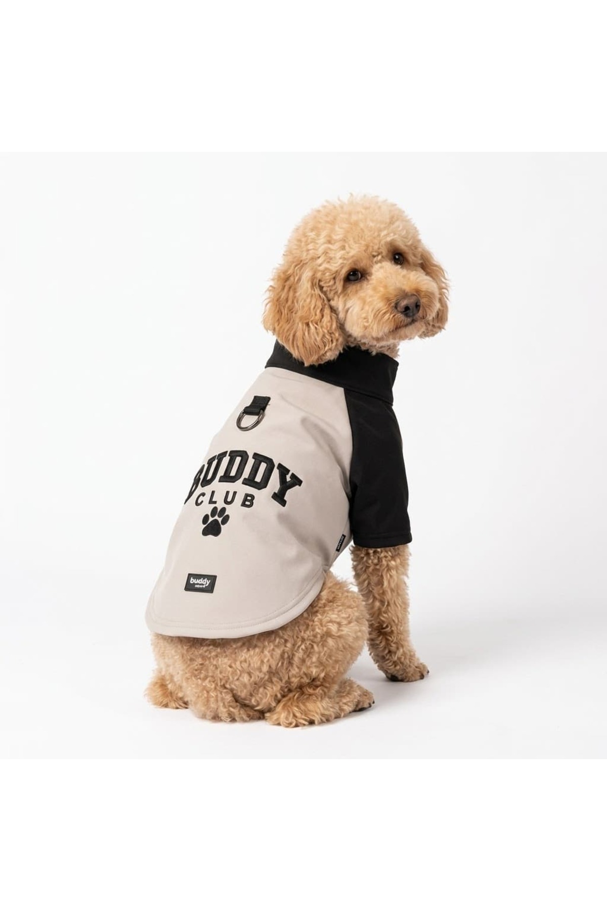 بارانی سگ بادی استور Buddy Store، سری Buddy Club، مدل SF9912، سافت‌شل آستردار بژ