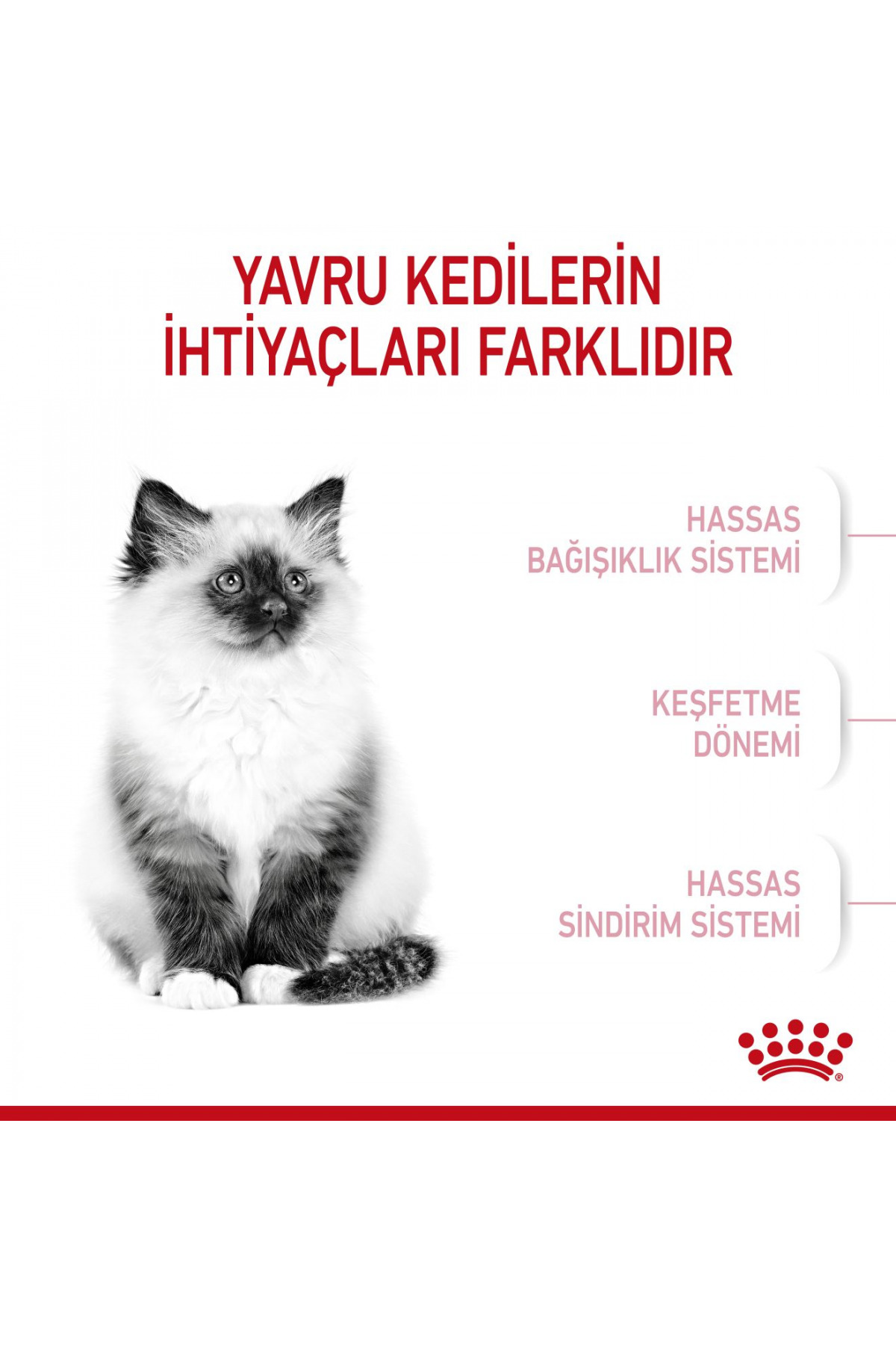 غذای خشک گربه بچه‌گربه رویال کنین Royal Canin، ۱۰ کیلوگرم