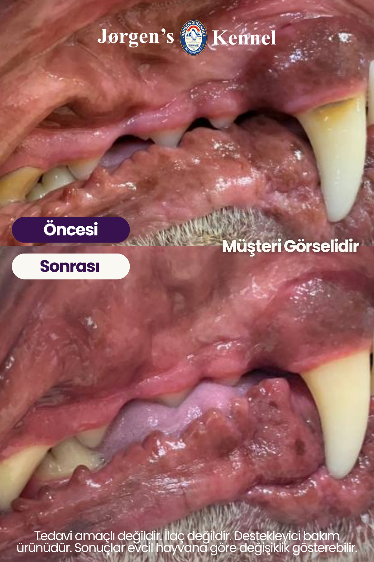 اسپری مراقبت دهان و دندان سگ جورگنس کنل Jorgens Kennel، ۱۰۰ میلی‌لیتر