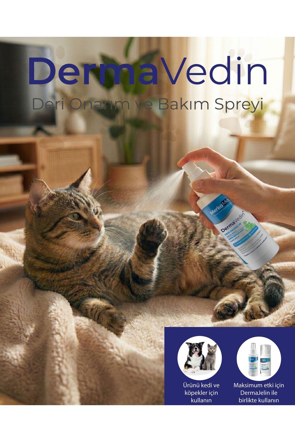محصول سلامت سگ پتی‌کر PETYCARE DermaVedin & DermaJelin