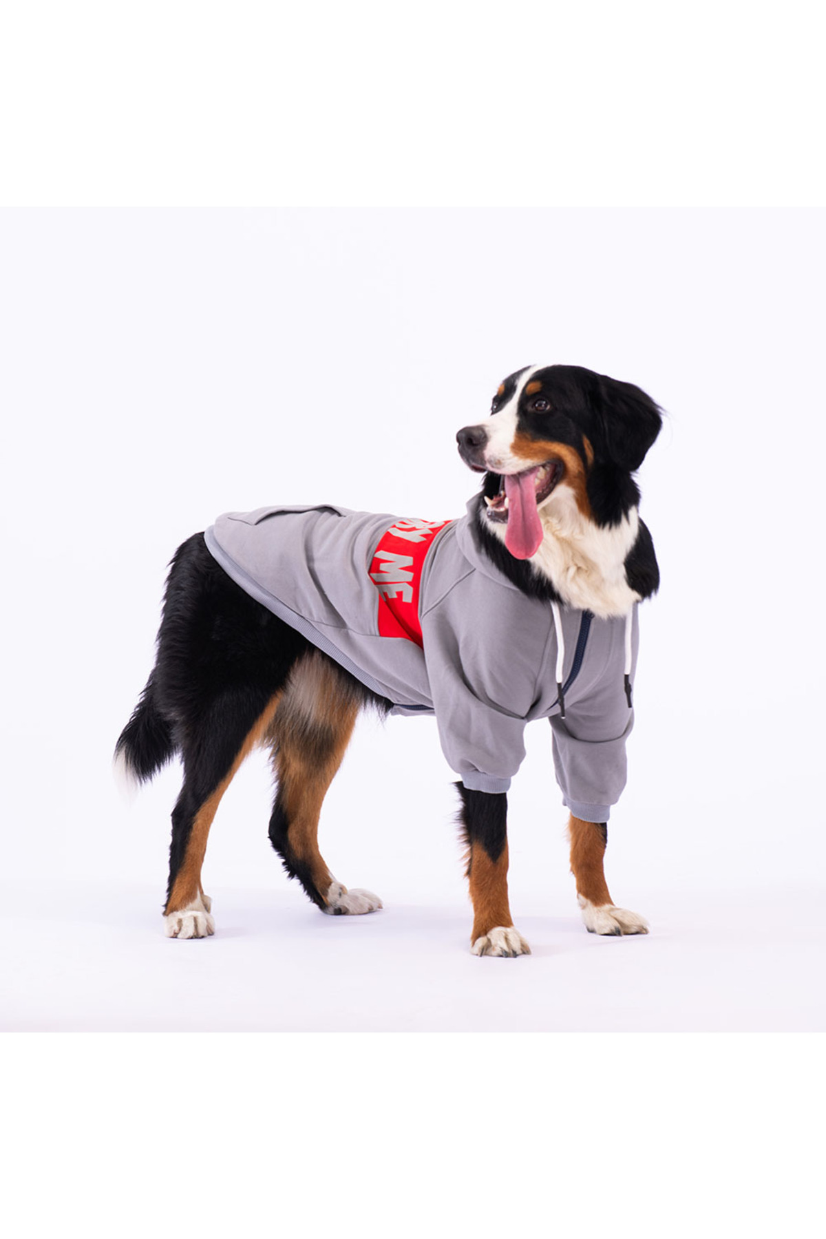 ژاکت سگ پاوستار Pawstar مدل AD2320، طرح Angry Dog، طوسی، مناسب نژادهای متوسط و بزرگ