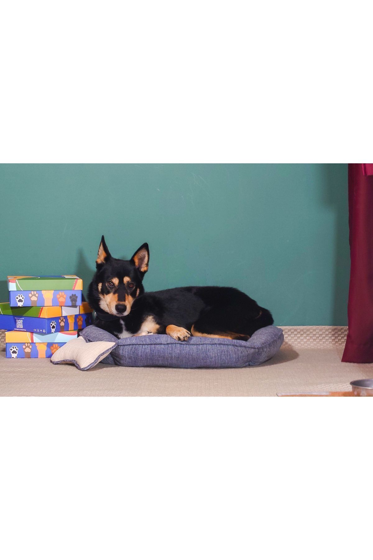 تخت حلقه‌ای گربه و سگ هالی‌داگ Holidog، کتان طبیعی و زیپ‌دار آبی