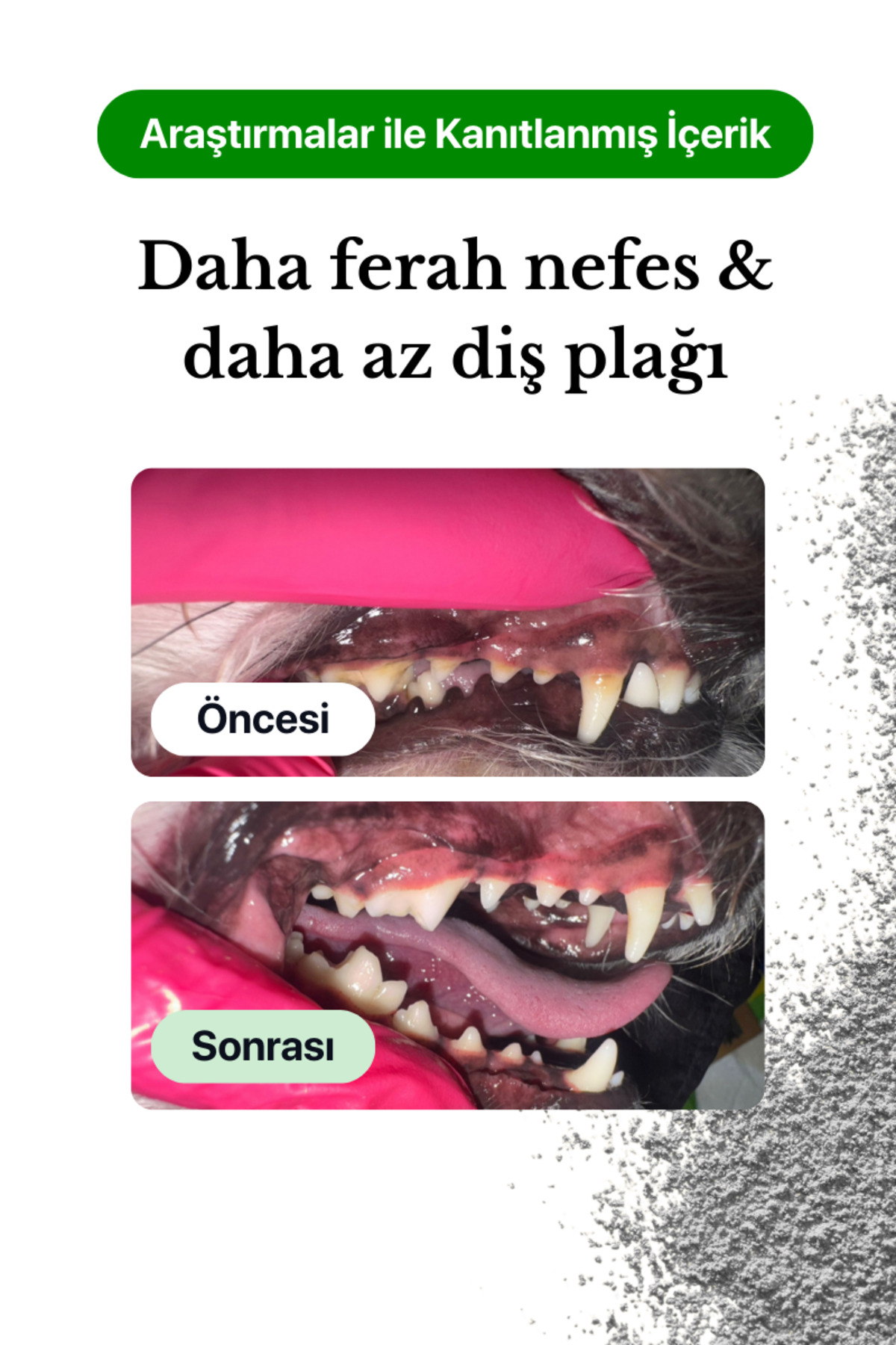 پودر مراقبت دهان و دندان سگ ووفل Woofle OralGuard، ۶۰ گرم، با طعم مرغ