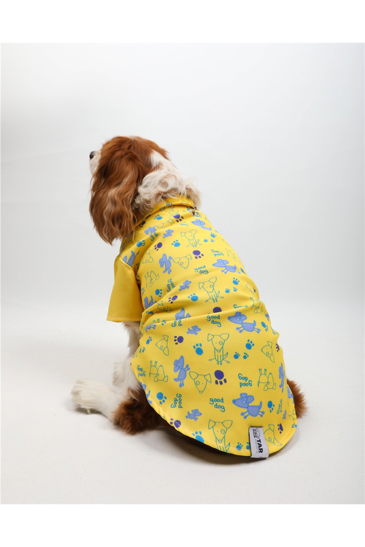 پیراهن سگ زرد Good Dog، تارپاز TARPAWS