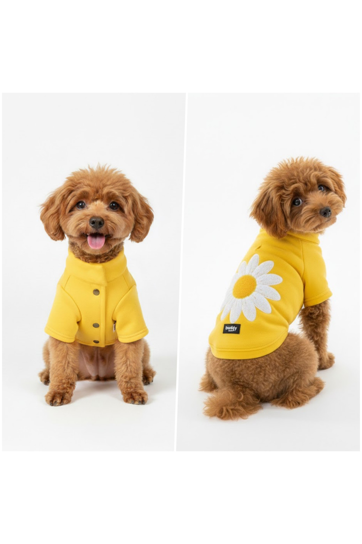 لباس سگ پلار زرد با گلدوزی گل مینا، بادی استور Buddy Store