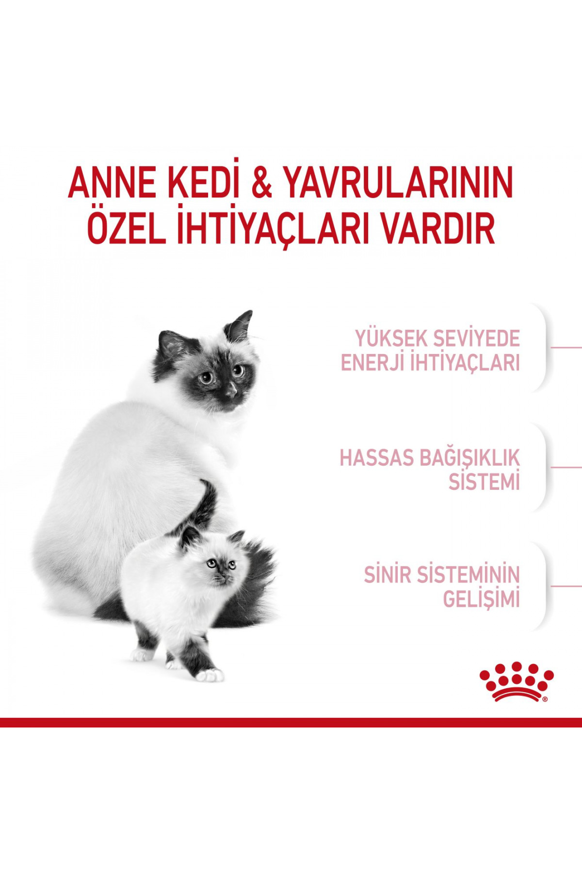 غذای خشک گربه رویال کنین Royal Canin Mother & Babycat، ۲ کیلوگرم