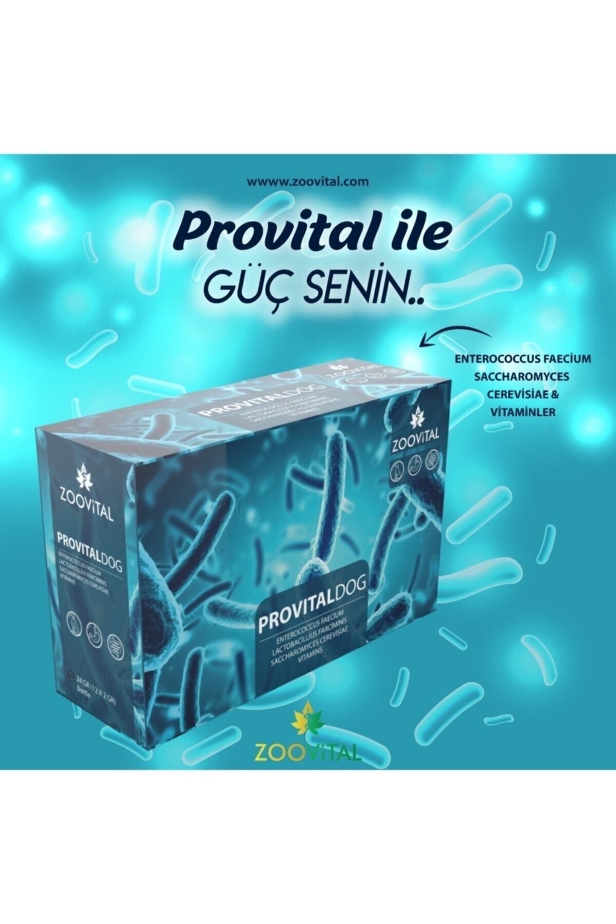 مکمل پری‌بیوتیک و ویتامین سگ زووویتال Zoovital Provital، بسته ۱۲ عددی