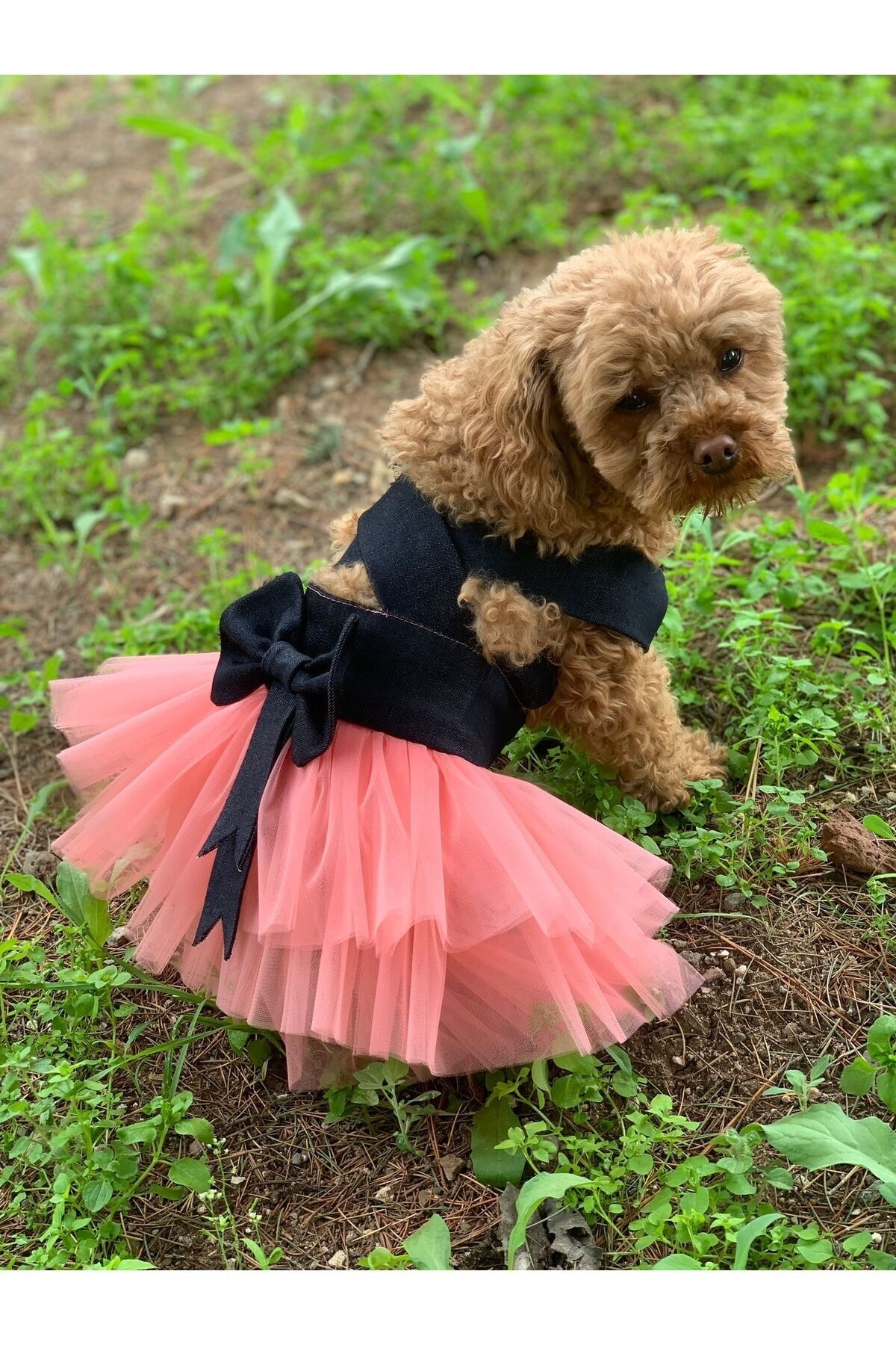 لباس توتو جین سگ و گربه آریا پت بوتیک aria pet butik چندرنگ