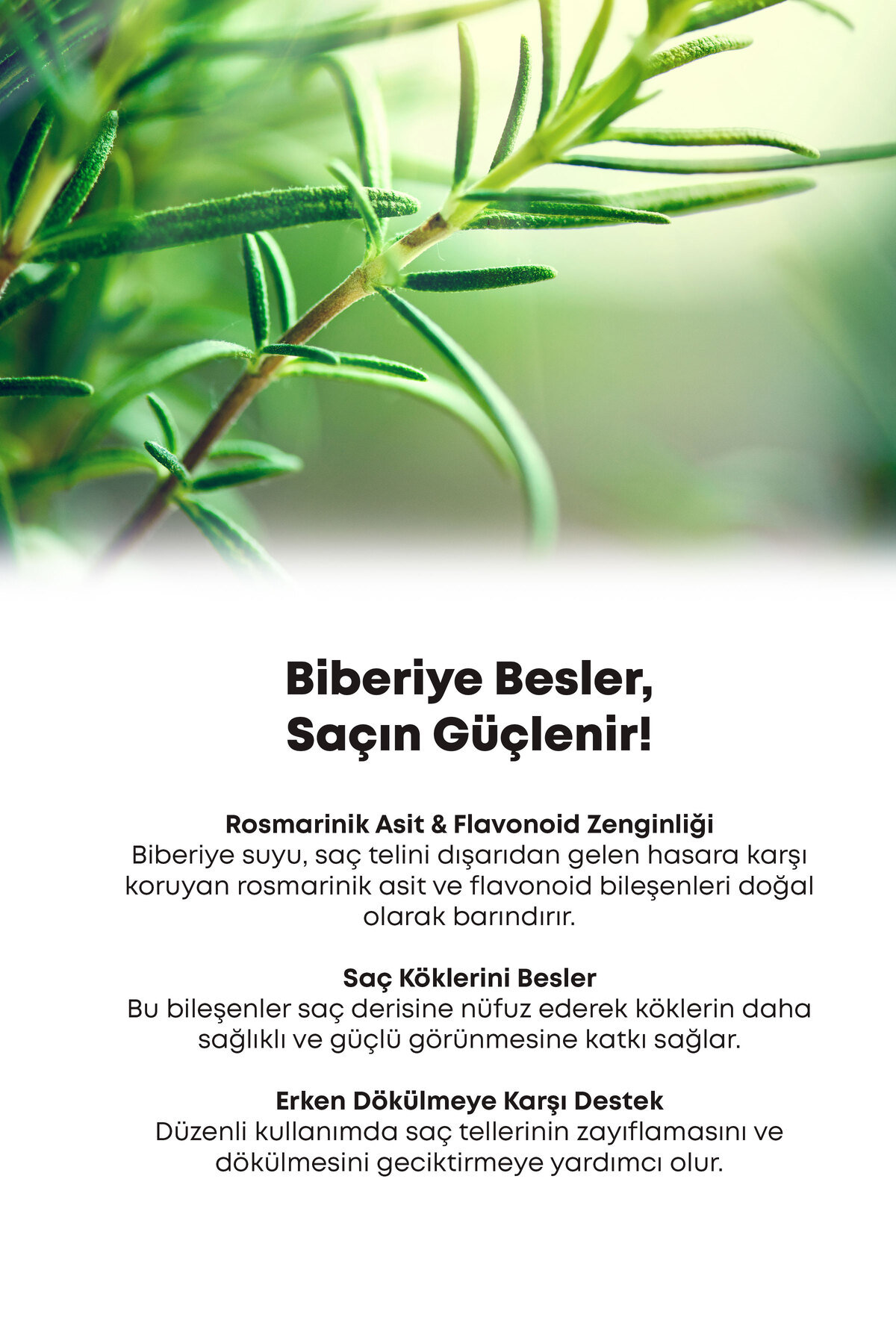 Arifoğlu آب رزماری اسپری تونر موی سریع الگویی 100 میلی لیتر