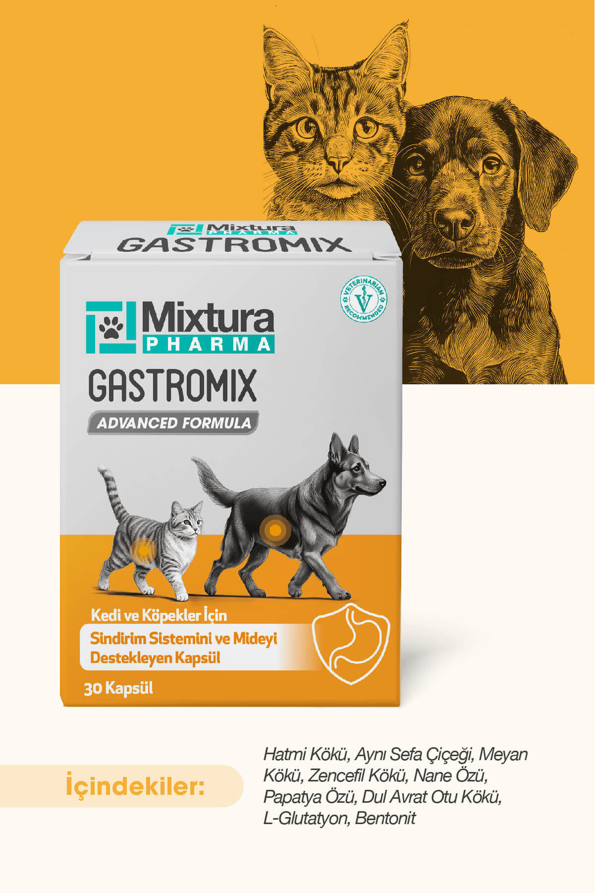 قرص گاسترومیکس برای گربه و سگ، پشتیبان معده و دستگاه گوارش، میکسچورا فارما Mixtura Pharma مدل MT5000
