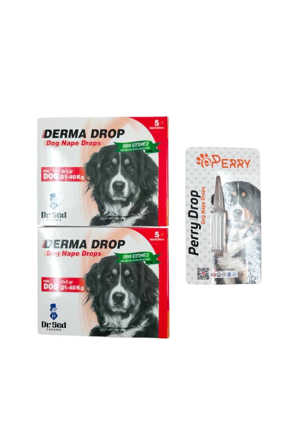 مجموعه مراقبت سگ انس Ans Dr.Sed، دو جعبه قطره و روغن گردن پری (Perry) برای سگ‌های ۲۱ تا ۴۰ کیلوگرم