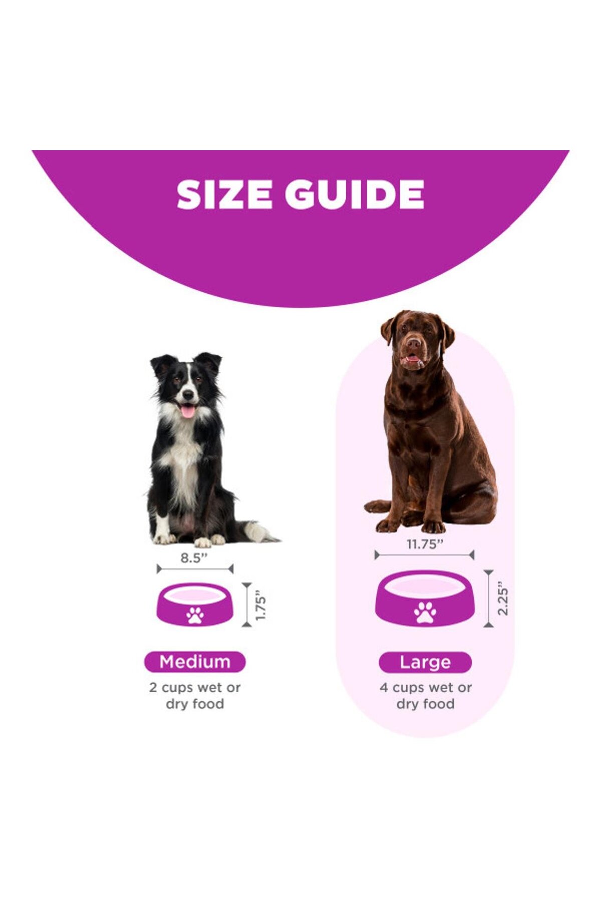 ظرف غذای آهسته‌خور سگ و گربه اوت‌وارد هاوند Outward Hound، سایز M/L بنفش 600 gr
