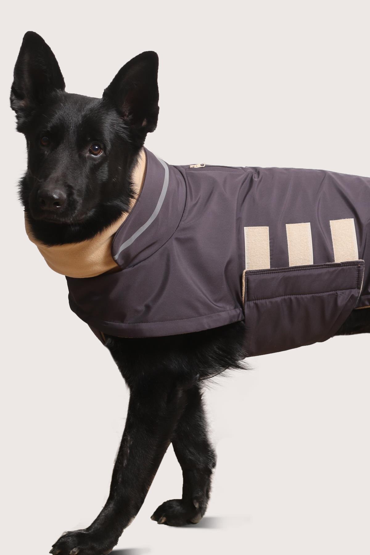 کاپشن سگ اسکی‌اندارد Asky&Erd Extreme Wheater Coat I