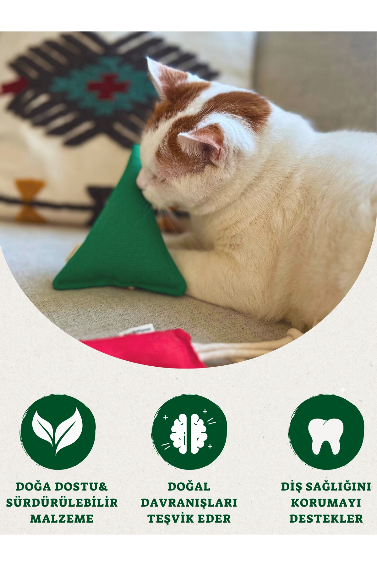 ست ۳ عددی اسباب‌بازی گربه پنبه‌ای و دارای نعناع گربه‌ای پت اند پلنت Pet And Planet، مدل PP-KO-20 چندرنگ