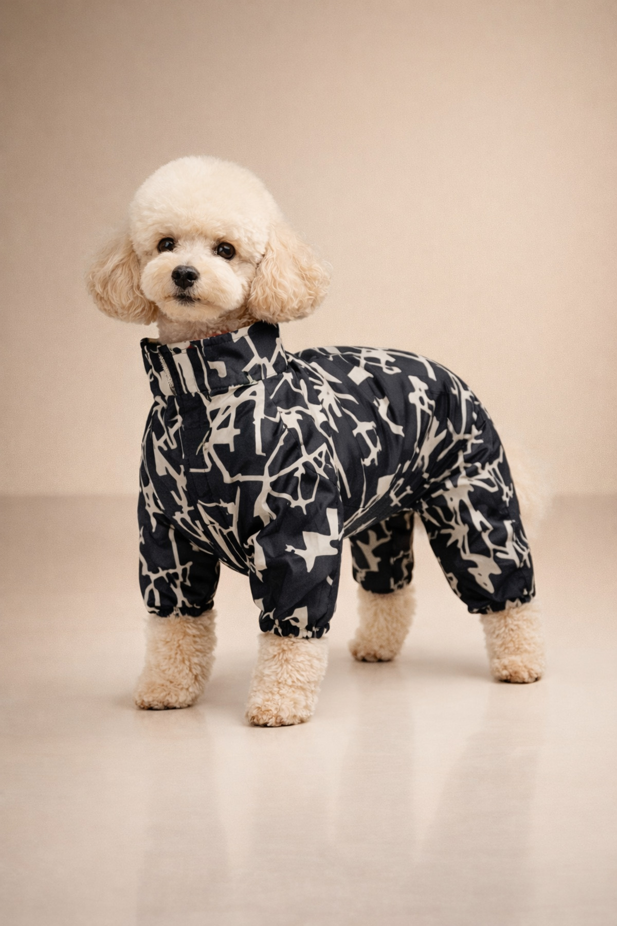 بارانی سگ آلفاداگ دیزاین Alphadog Design مدل Coverall Ligne با طراحی چهارپا، چندرنگ