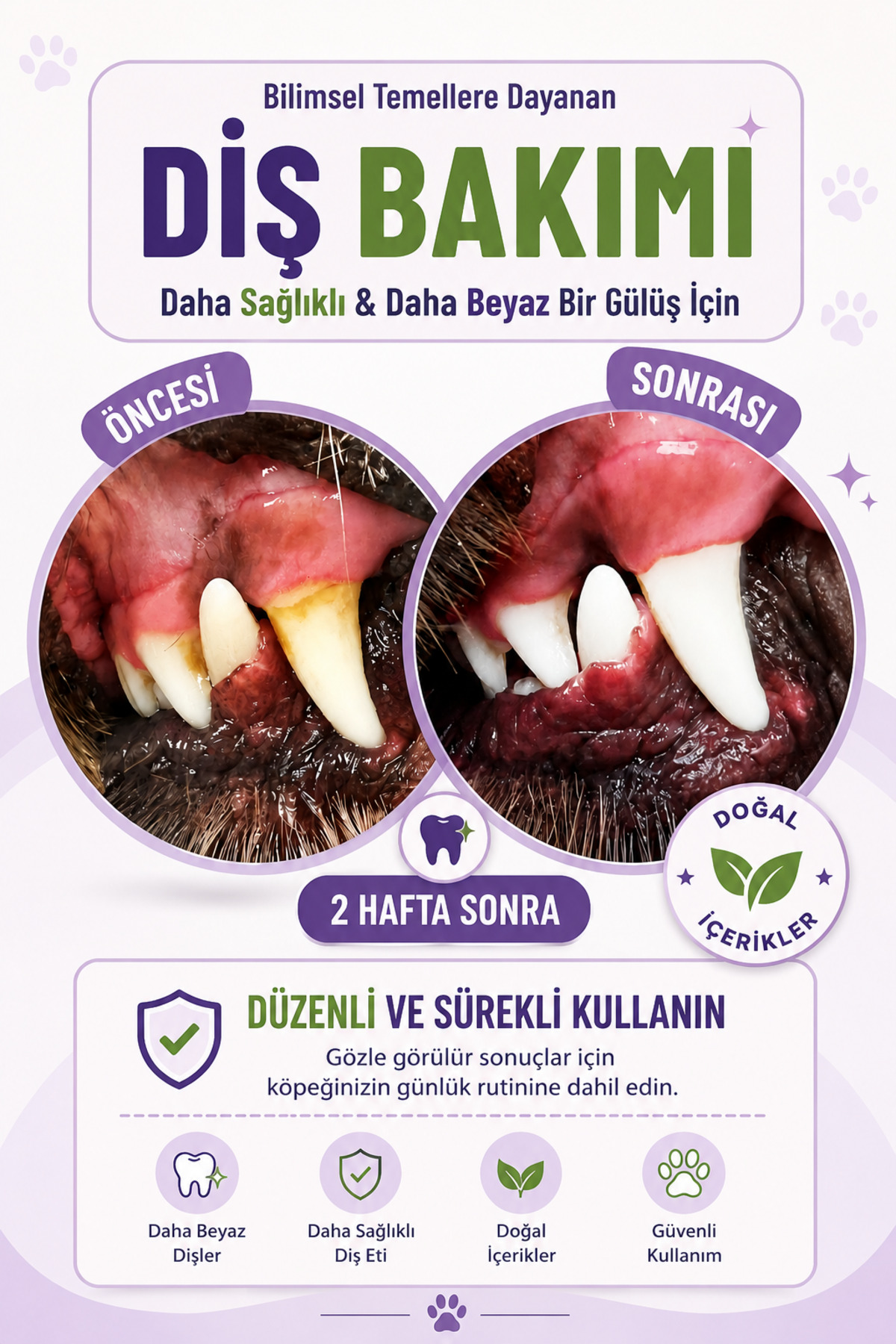 پودر طبیعی مراقبت دهان سگ پاویتاپت PAWVİTAPET، ۱۰۰ گرم