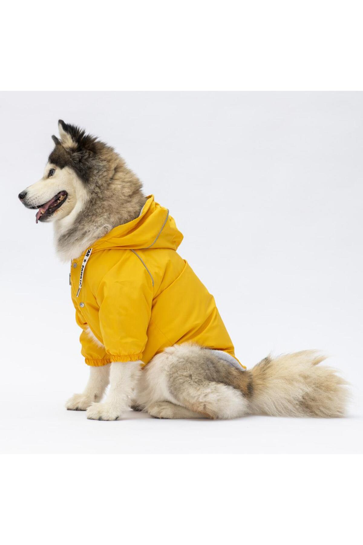 بارانی سگ نژاد بزرگ پاوستار Pawstar Pluvia مدل 22554