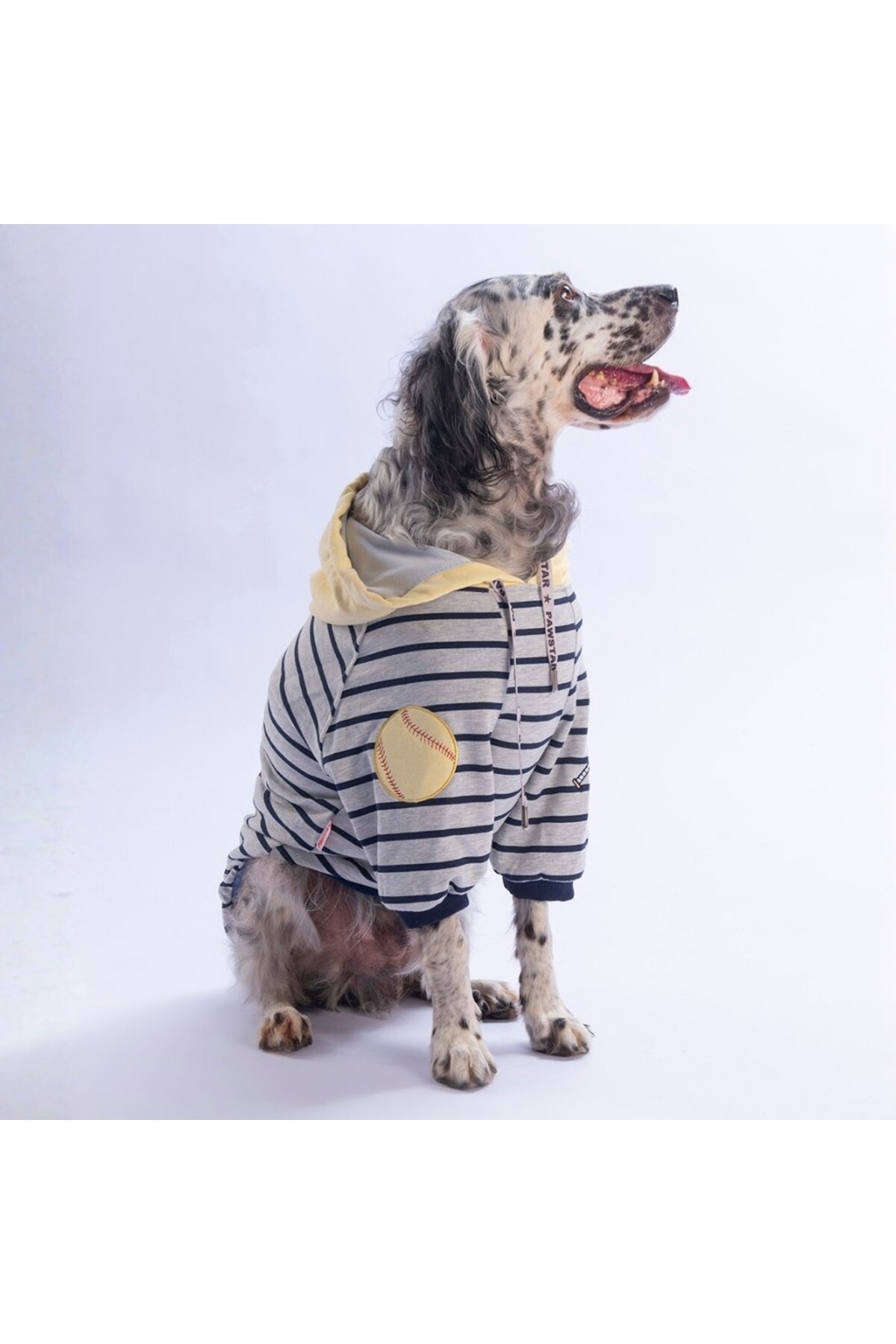 هودی زرد سگ پاوستار Pawstar با طرح Seattle Pitch، مناسب نژادهای متوسط تا بزرگ