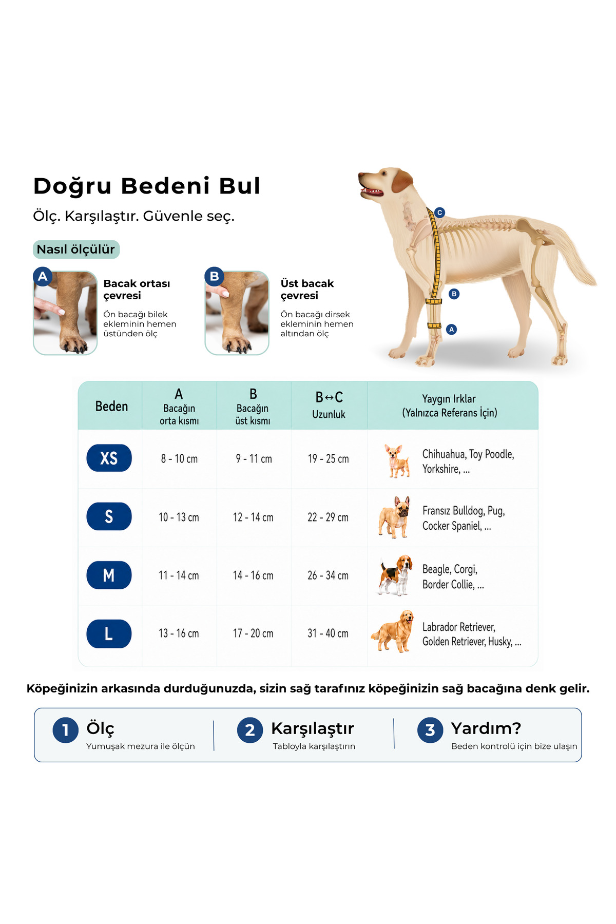 محافظ آرنج پای جلویی چپ سگ فیکو پتس Fico Pets، مدل EB، سرمه‌ای
