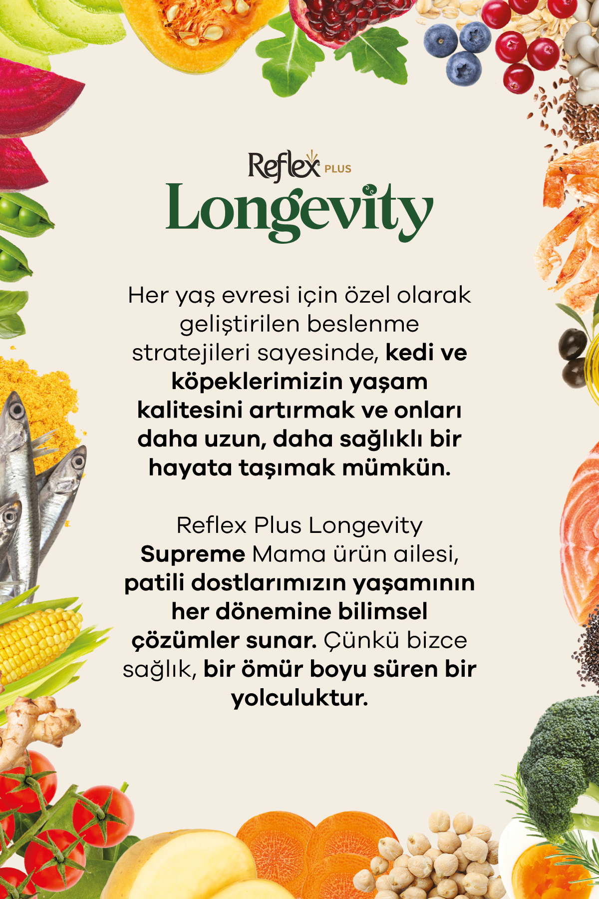 غذای خشک توله‌سگ نژاد بسیار کوچک رفلکس Reflex Plus Longevity با طعم مرغ، ۹۰۰ گرم