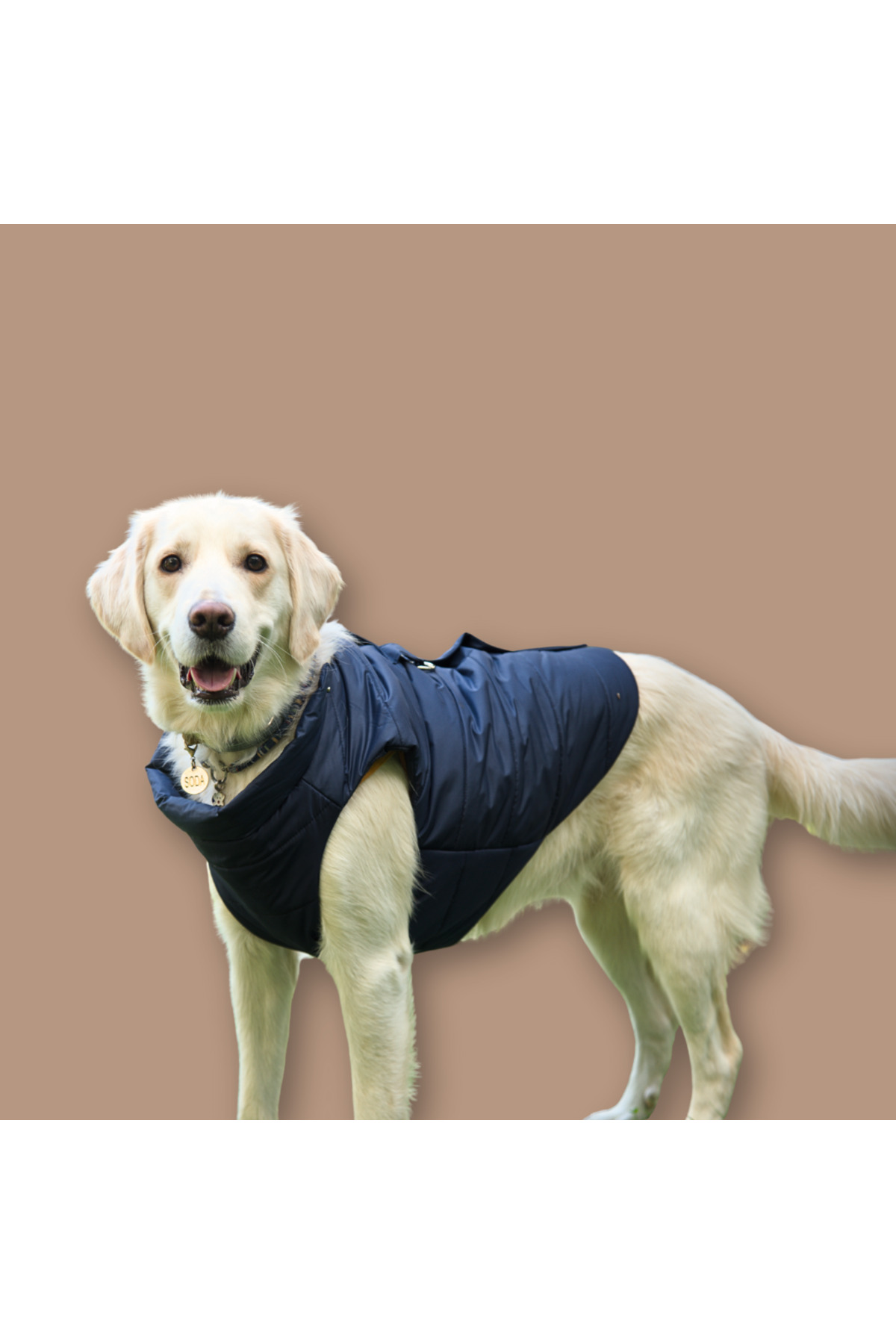 کاپشن پافر سگ لولو د اربن پاپ Lulu The Urban Pup، Urban Navy Puffer، سرمه‌ای