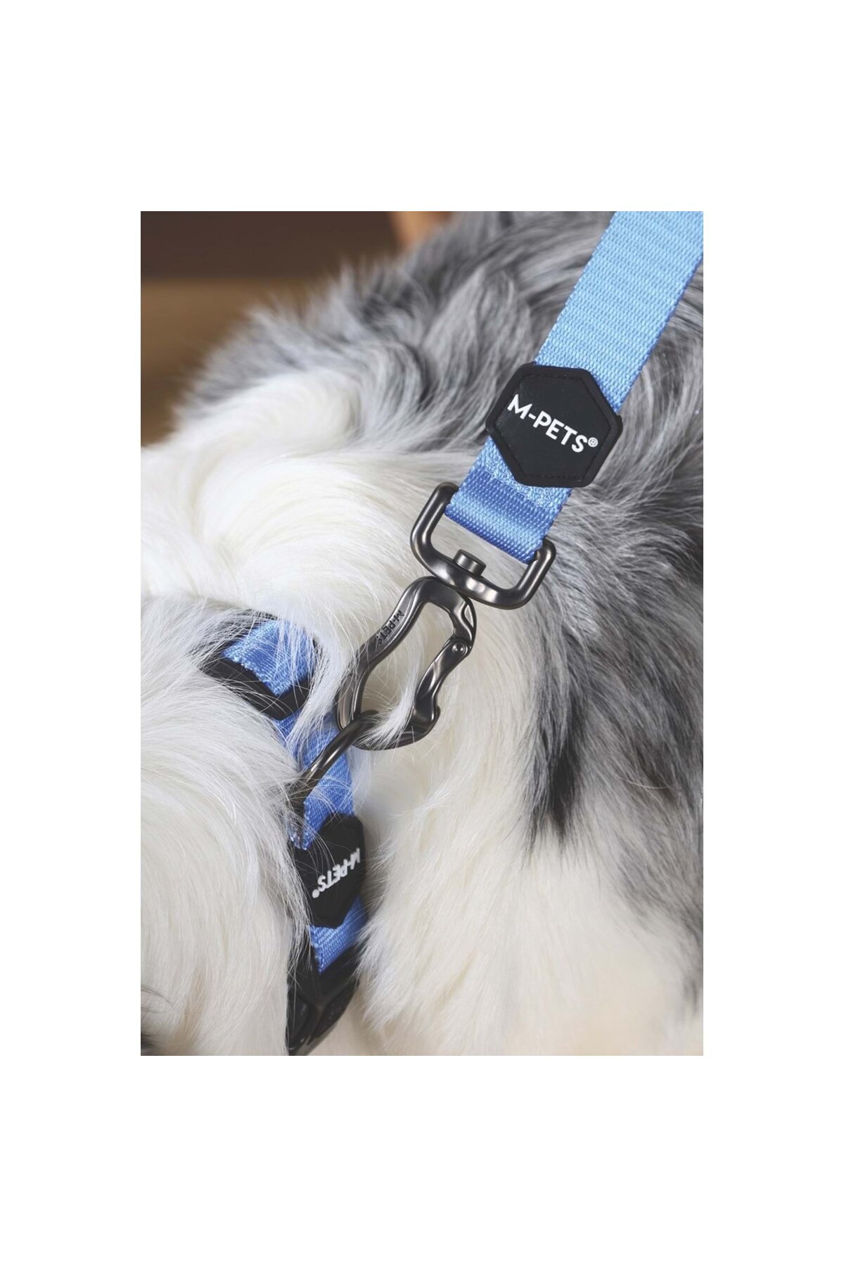 بند گرداندن سگ ام‌پتس M-PETS، سایز M، آبی