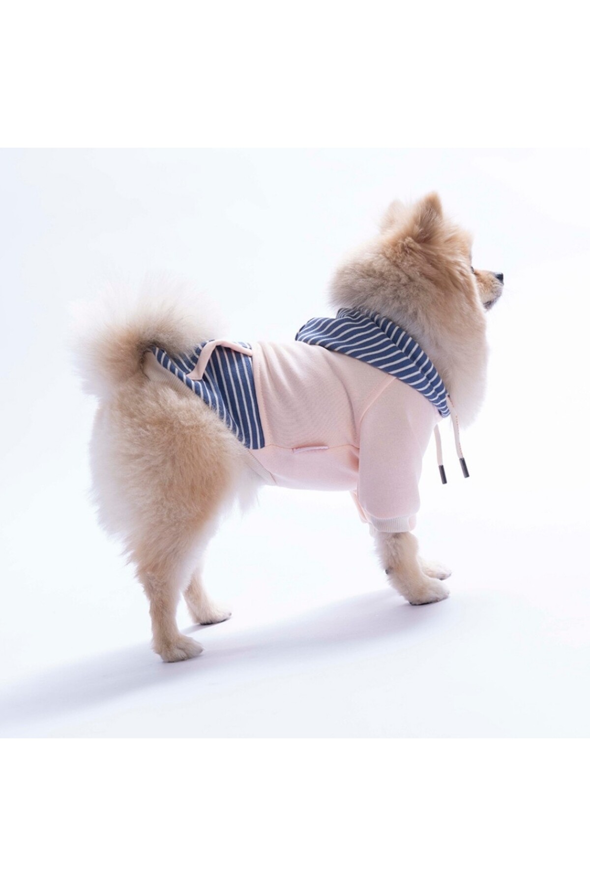 هودی سگ صورتی Sera Stripe پاواستار Pawstar مدل PS26-1149