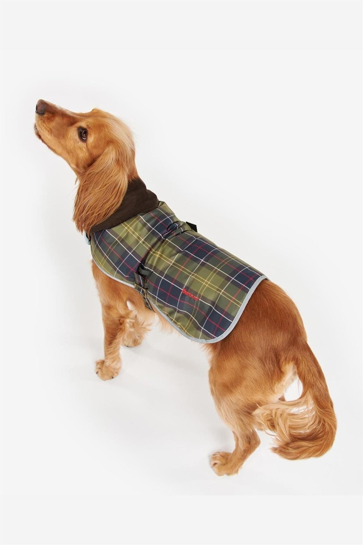 کاپشن سگ باربور Barbour Wetherham TN11 چهارخانه کلاسیک، مدل DCO0044-C06 سبز