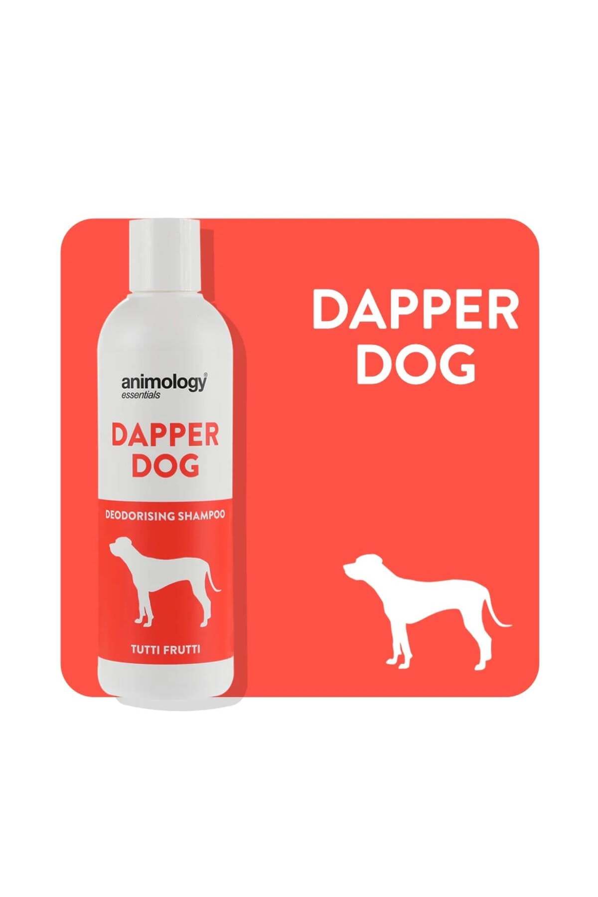 شامپو سگ انیمولوجی Animology Essentials Dapper، ۲۵۰ میلی‌لیتر