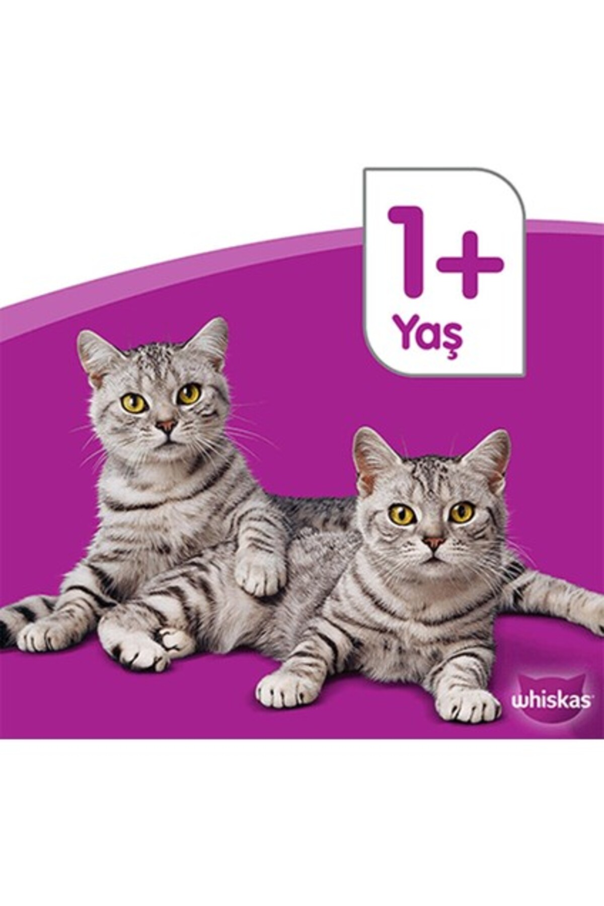 غذای کنسروی گربه ویسکاس Whiskas با طعم گوشت گاو، ۴۰۰ گرمی، بسته ۲۴ عددی