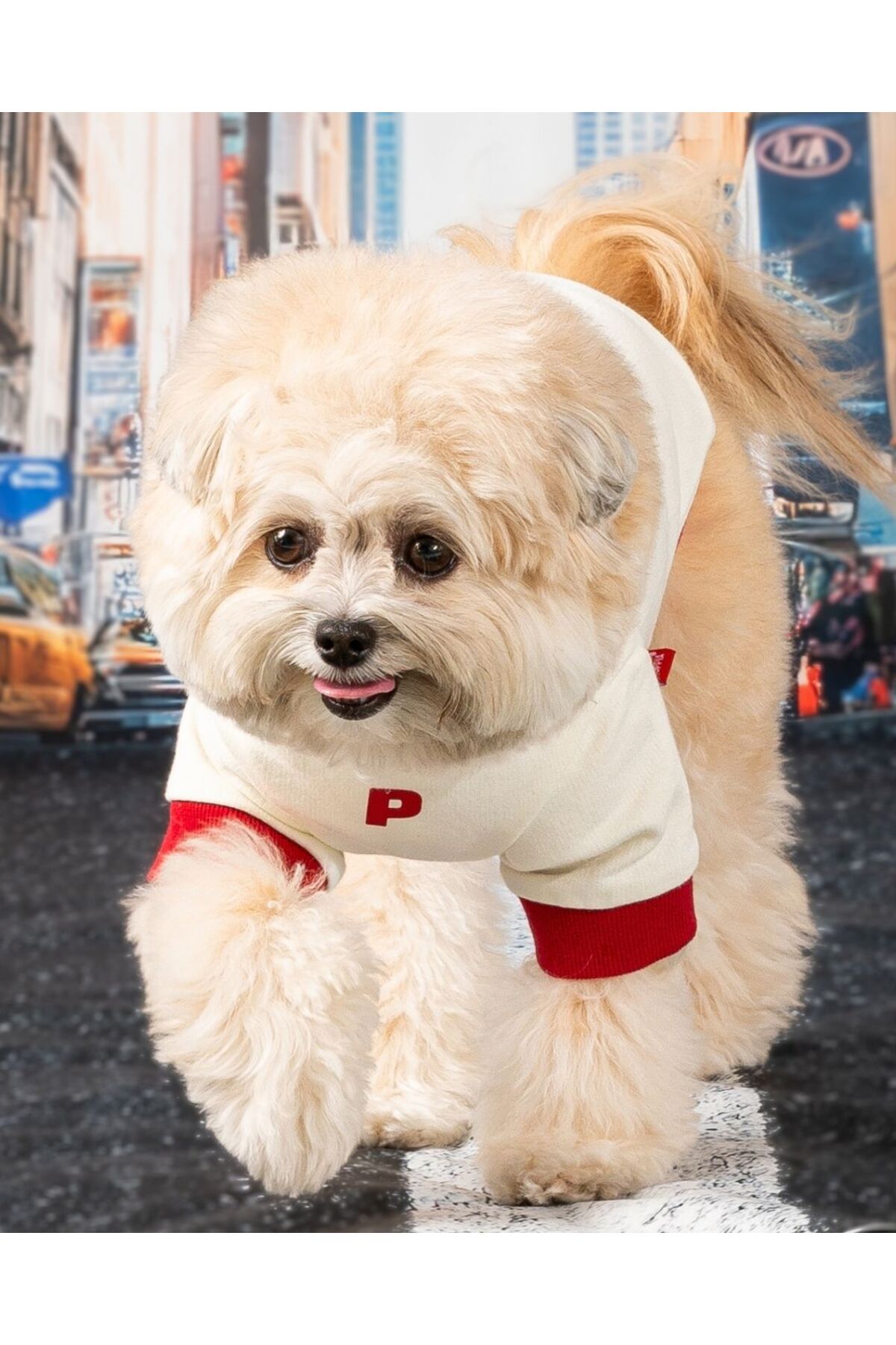 لباس سگ Ivy پاپیا Puppia قرمز