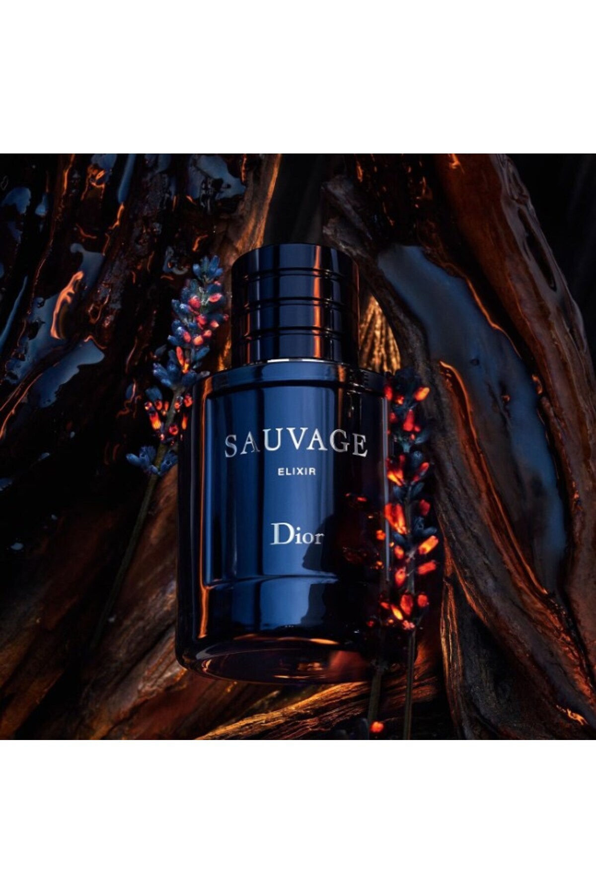 Dior عطر مردانه با بوی تازگی و تندی شگفت‌انگیز 100 میلی لیتر
