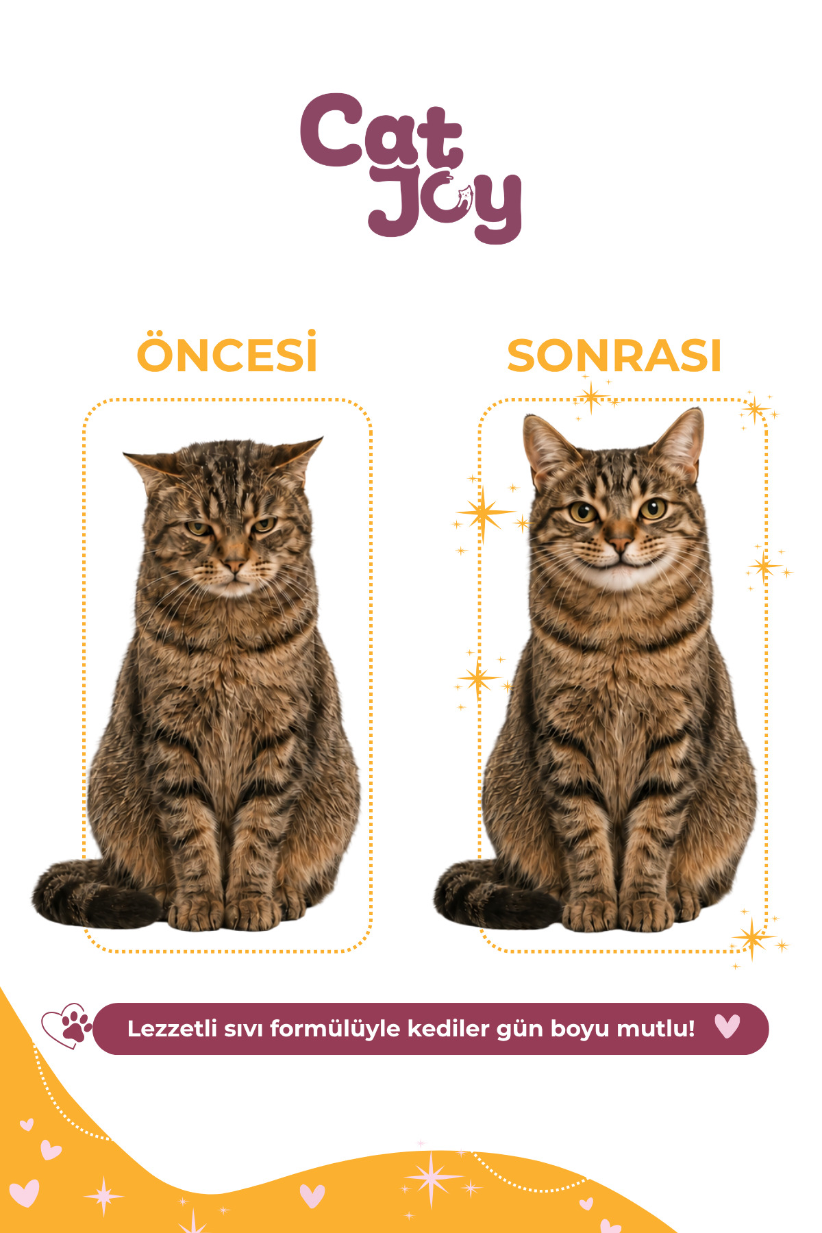 قطره پوست و موی گربه پلاس B کت‌جوی CATJOY، ۵۰ میلی‌لیتر