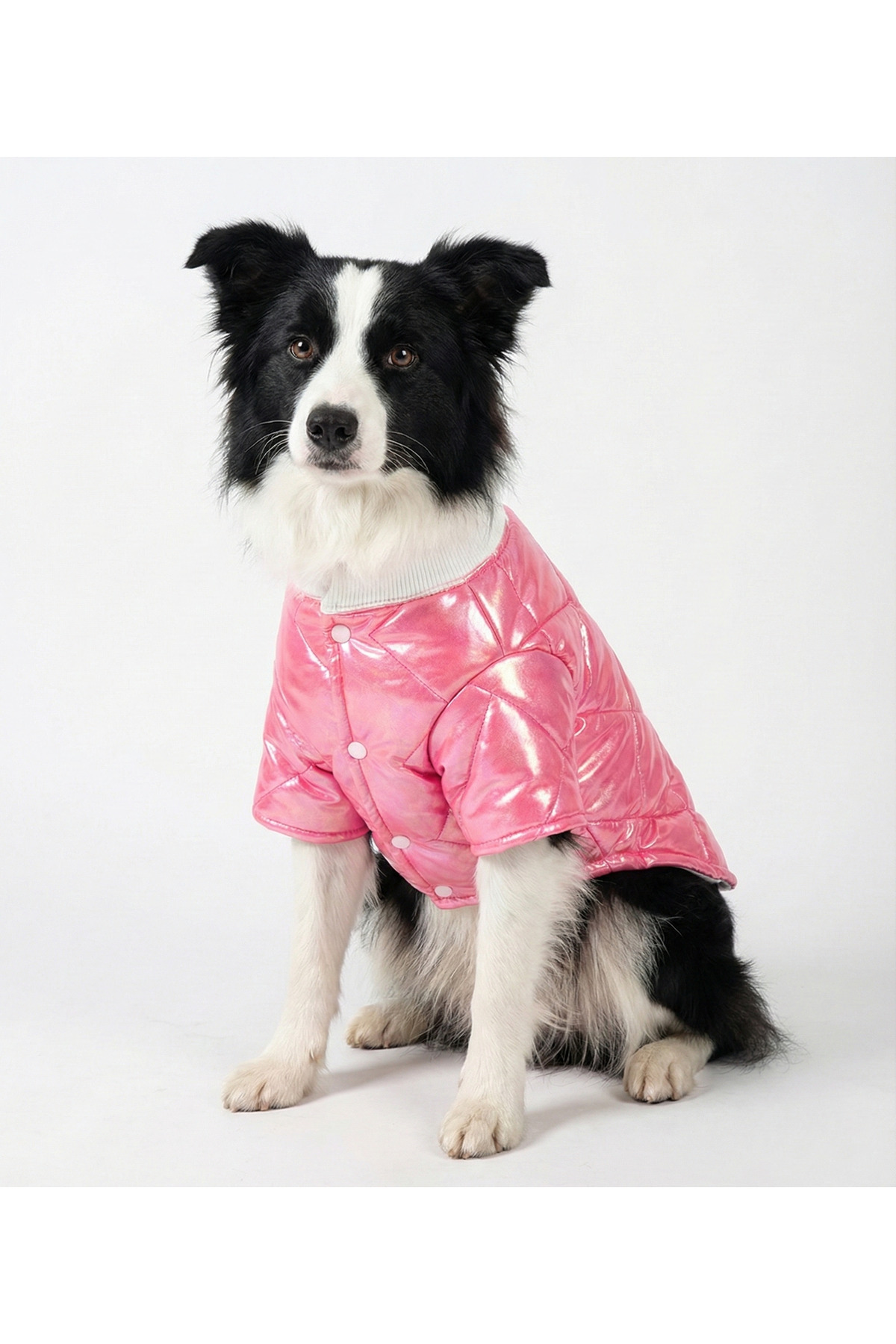 کاپشن سگ نوبل‌داگ NobleDog، صورتی متالیک براق و ضدآب