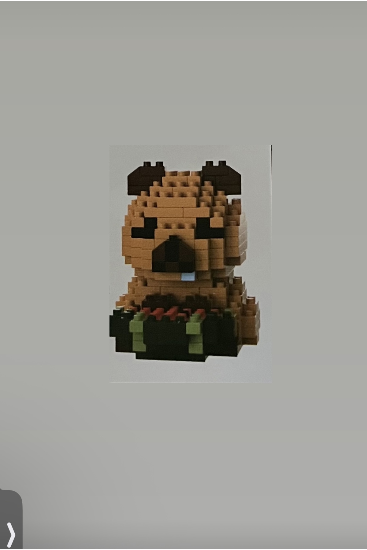پازل سه بعدی 202 قطعه شخصیت CAPYBARA BRICKS شکل 3 اره منبت کاری مویی ساخت اسباب بازی مینی لگو synshop