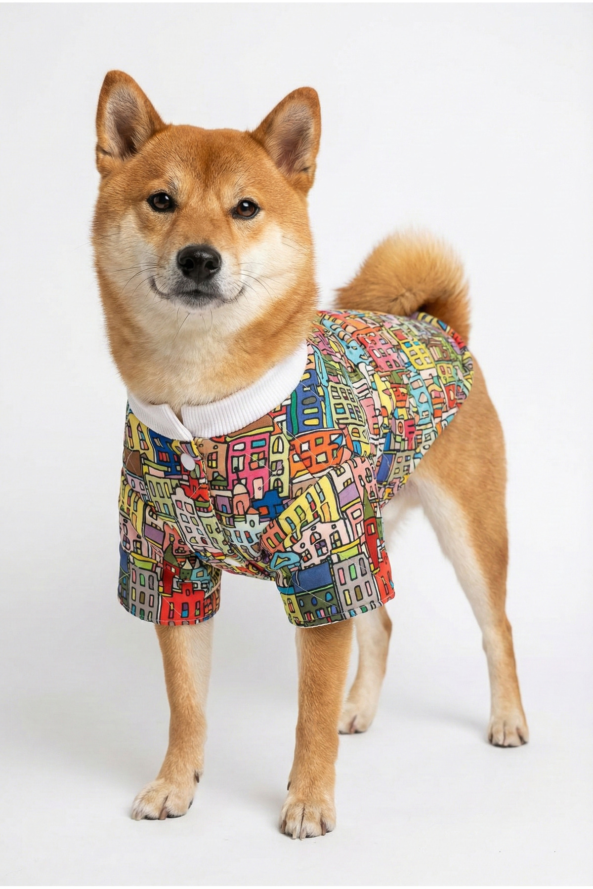 کاپشن سگ نوبل‌داگ NobleDog، ضدآب و کاپیتونه با طرح شهری چندرنگ، مدل renkliev