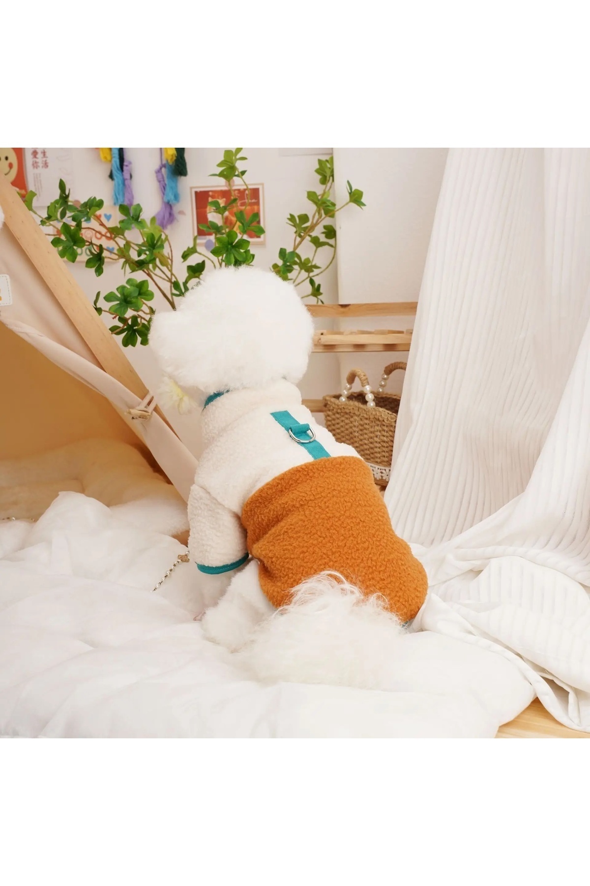 کاپشن پلار سگ دولچه پتس Dolce Pets مدل DP001، نارنجی