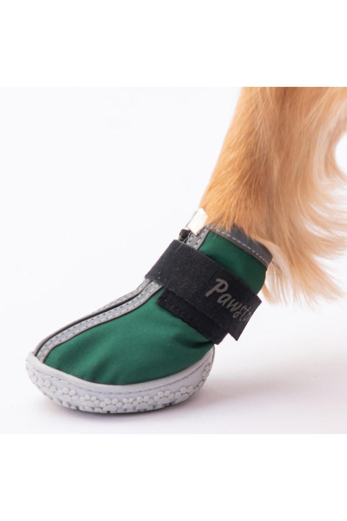 کفش سگ پاوستار Pawstar سبز مدل PDS-02
