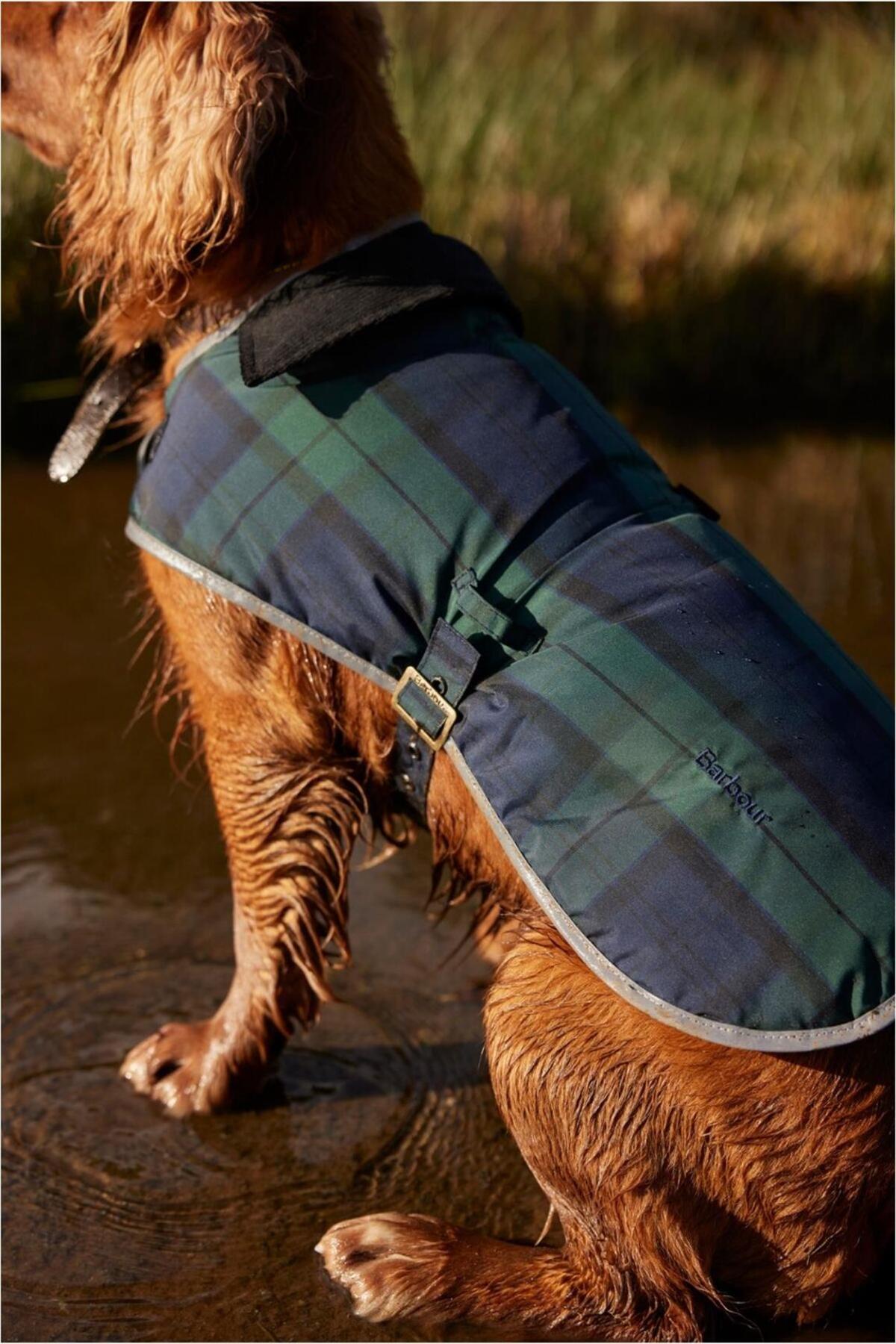 کاپشن سگ باربور Barbour Wetherham چهارخانه NY91 Blackwatch Tartan، سبز