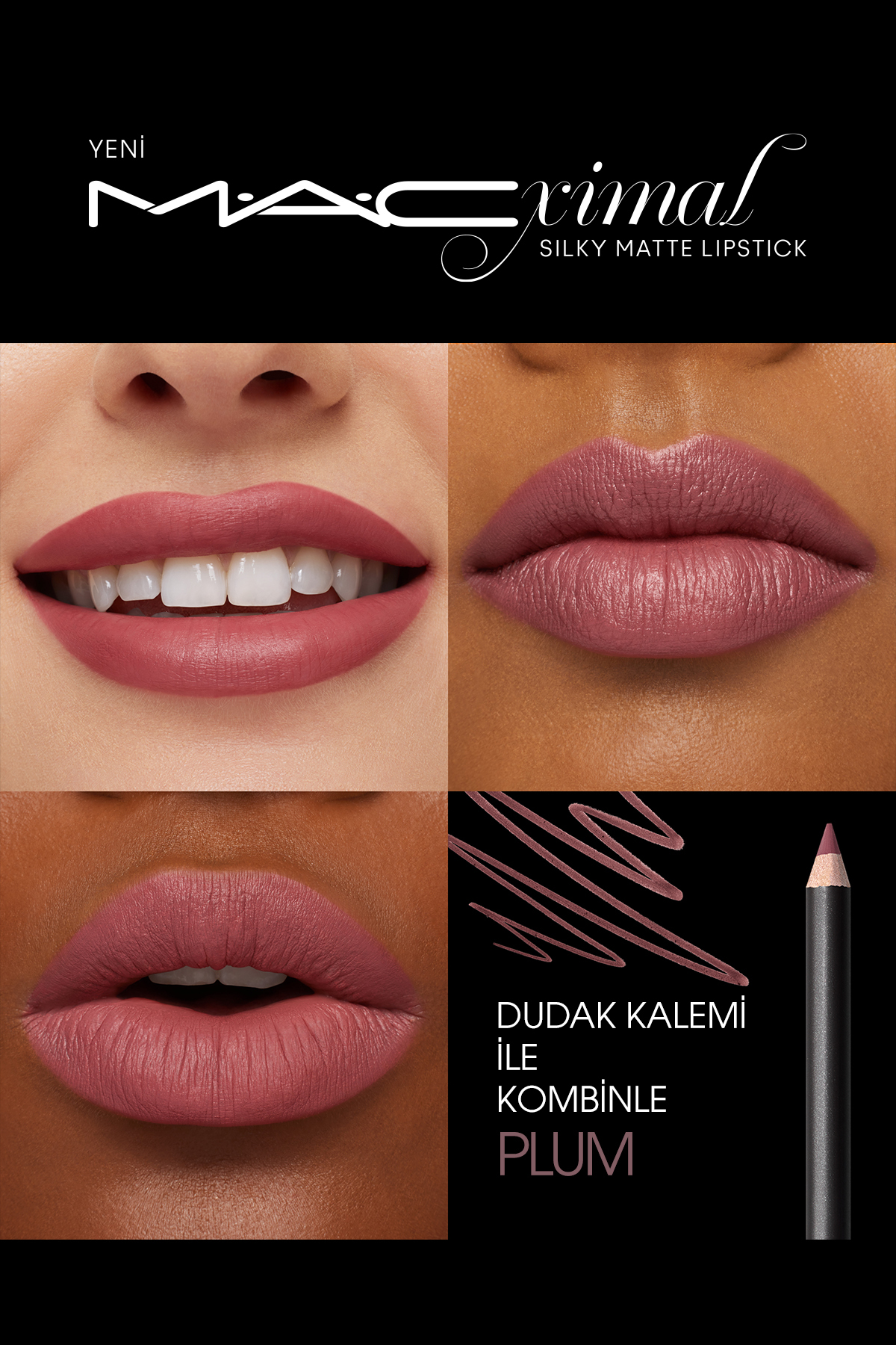 رژ لب MACXIMAL MINI MAC SILKY MATTE LIPSTICK پیچ و تاب شاخه Mac