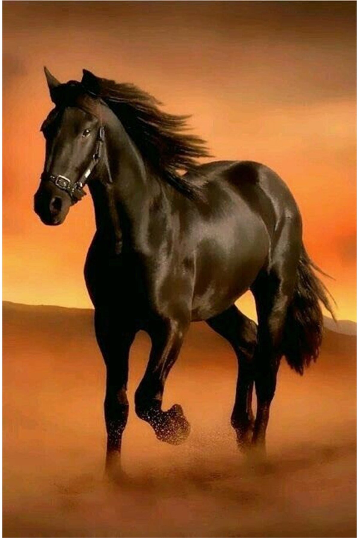 پازل نقاشی موزاییک الماس اسب قهوه ای در صحرا 50 33 سانتی متر MARCEL SANAT