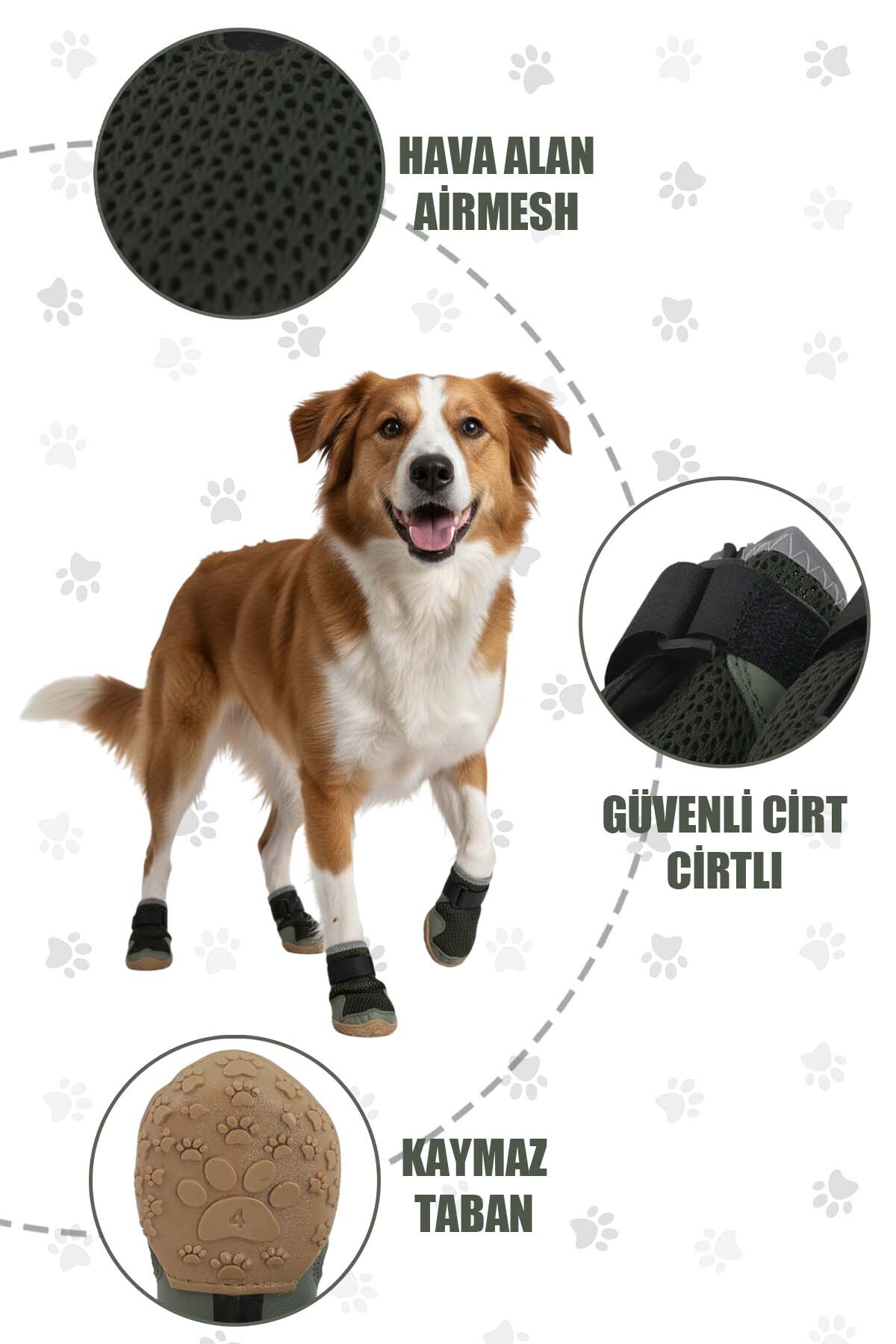 کفش تابستانی سگ پاوپرینتس PawPrints AirMesh سبز با بست چسبی قابل تنظیم و زیره لاستیکی ضدلغزش