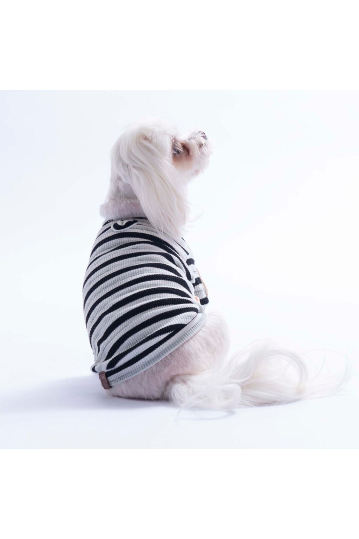 سویشرت مشکی راه‌راه Marseille Softline برای سگ و گربه، پاواستار Pawstar