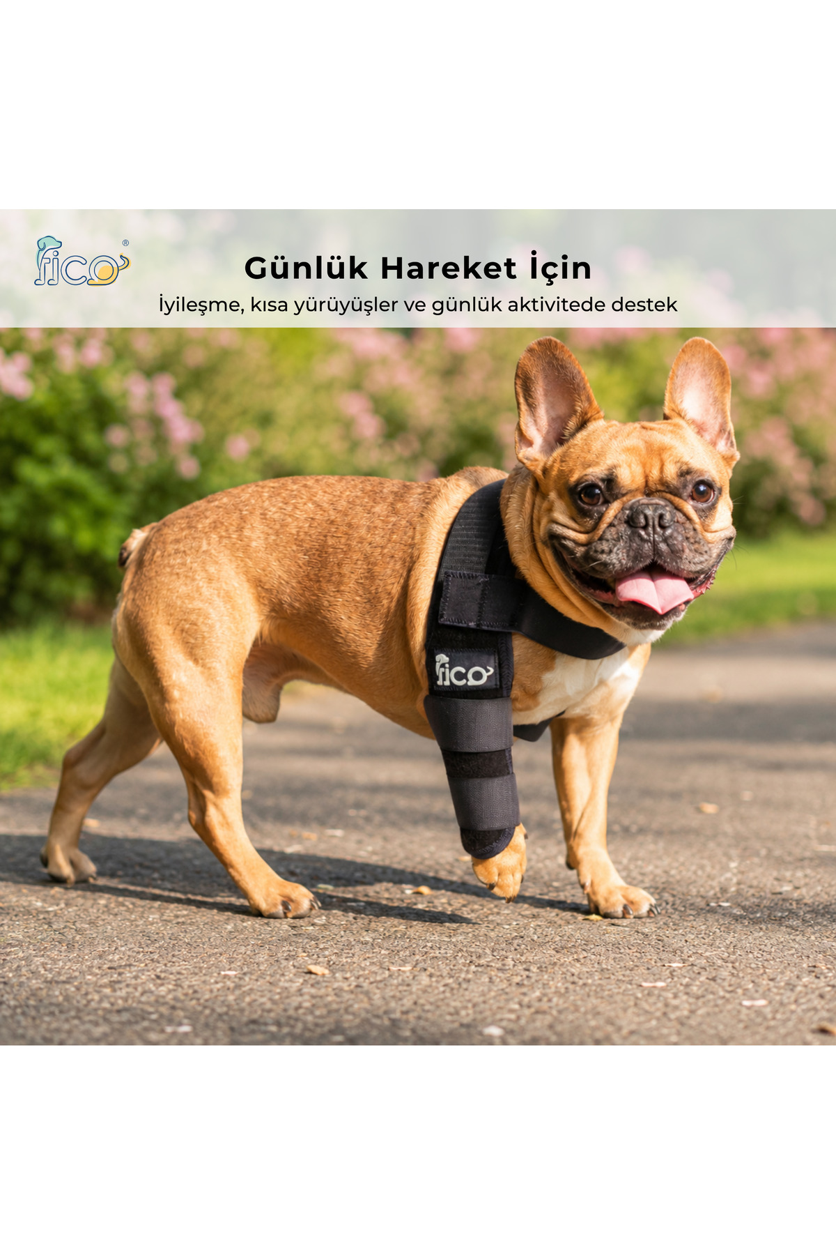 محافظ آرنج پای جلویی چپ سگ فیکو پتس Fico Pets، مدل EB، سرمه‌ای
