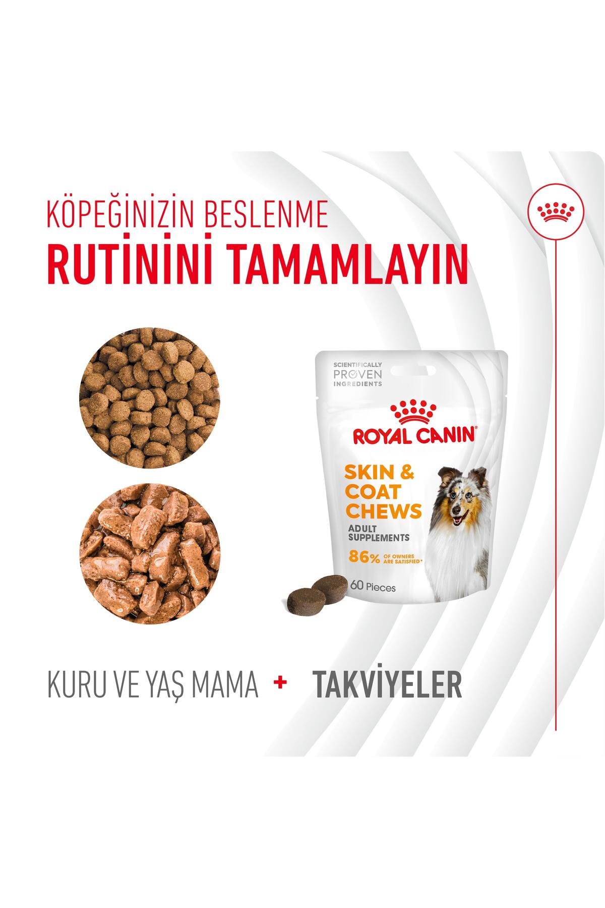 تشویقی مکمل سگ رویال کنین Royal Canin Skin&Coat، ۲۴۰ گرم