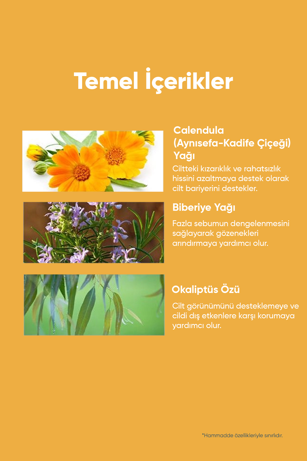 پاک کننده آرایش چشم روغن تمیز کردن حاوی تقویم CALENDISEFA A'PIEU CALENDULA ذوب Missha