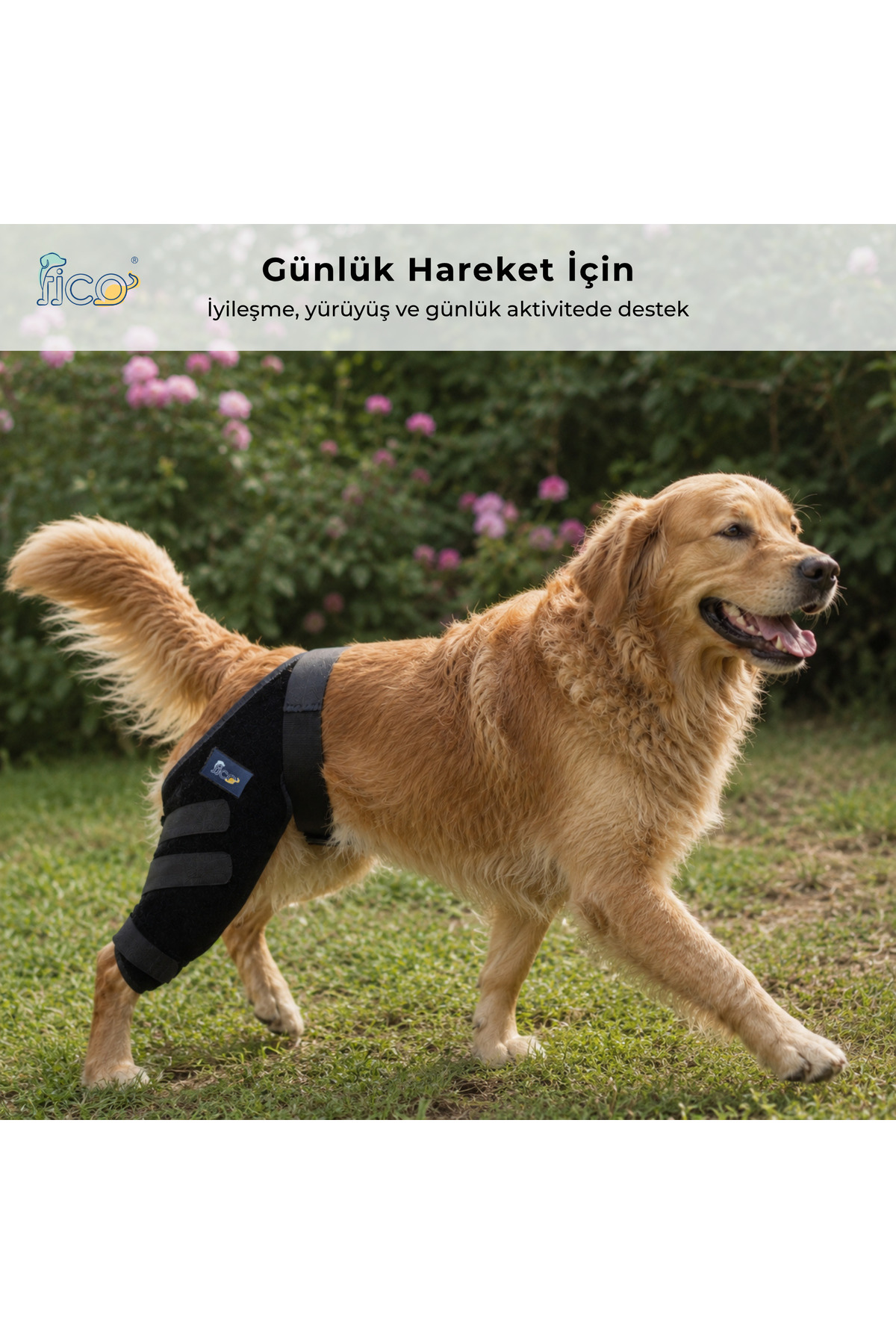 زانوبند سگ برای پای عقب چپ با بند ضربدری، فیکو پتس Fico Pets مدل SBL چندرنگ