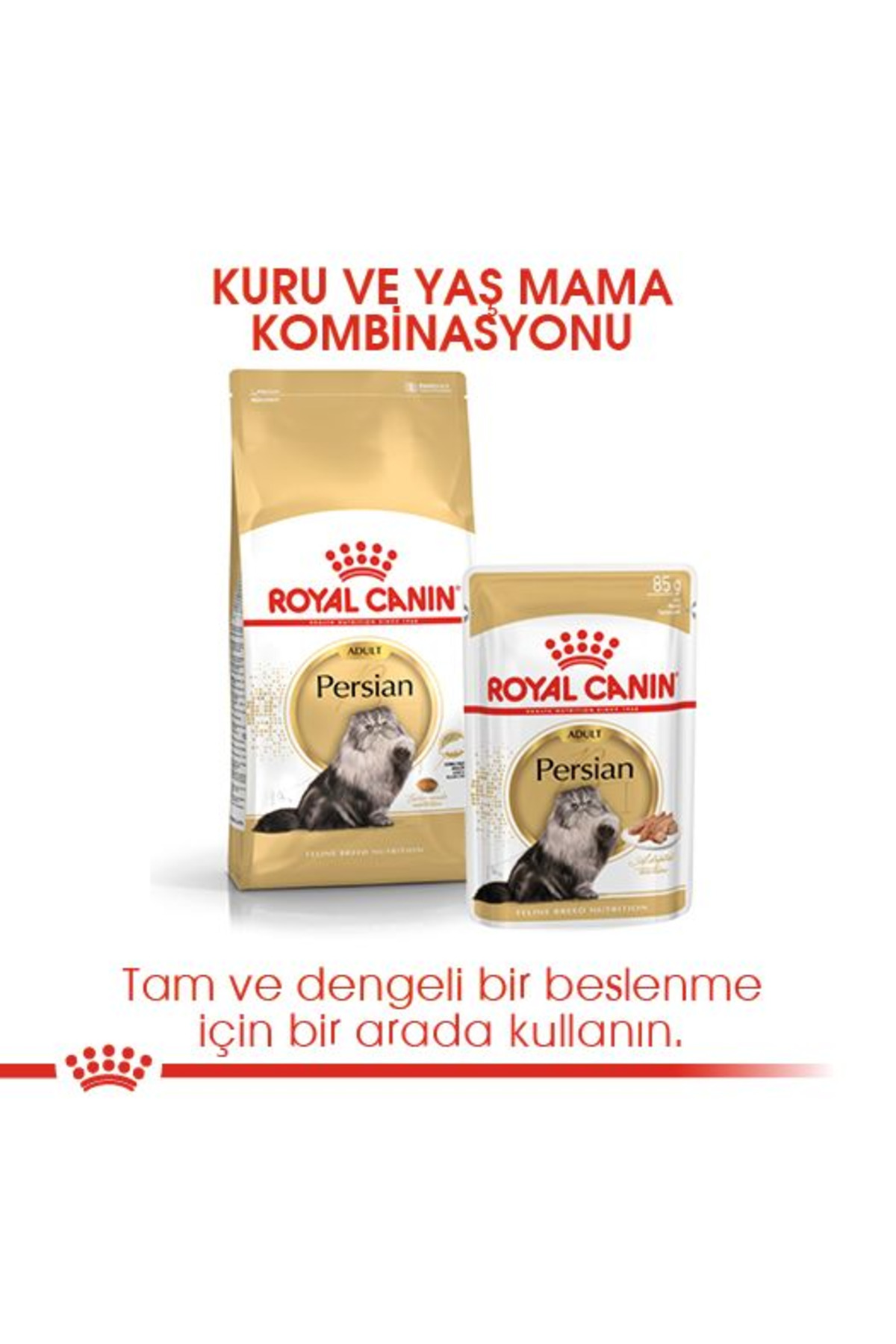 غذای خشک گربه پرشین رویال کنین Royal Canin، ۴۰۰ گرم