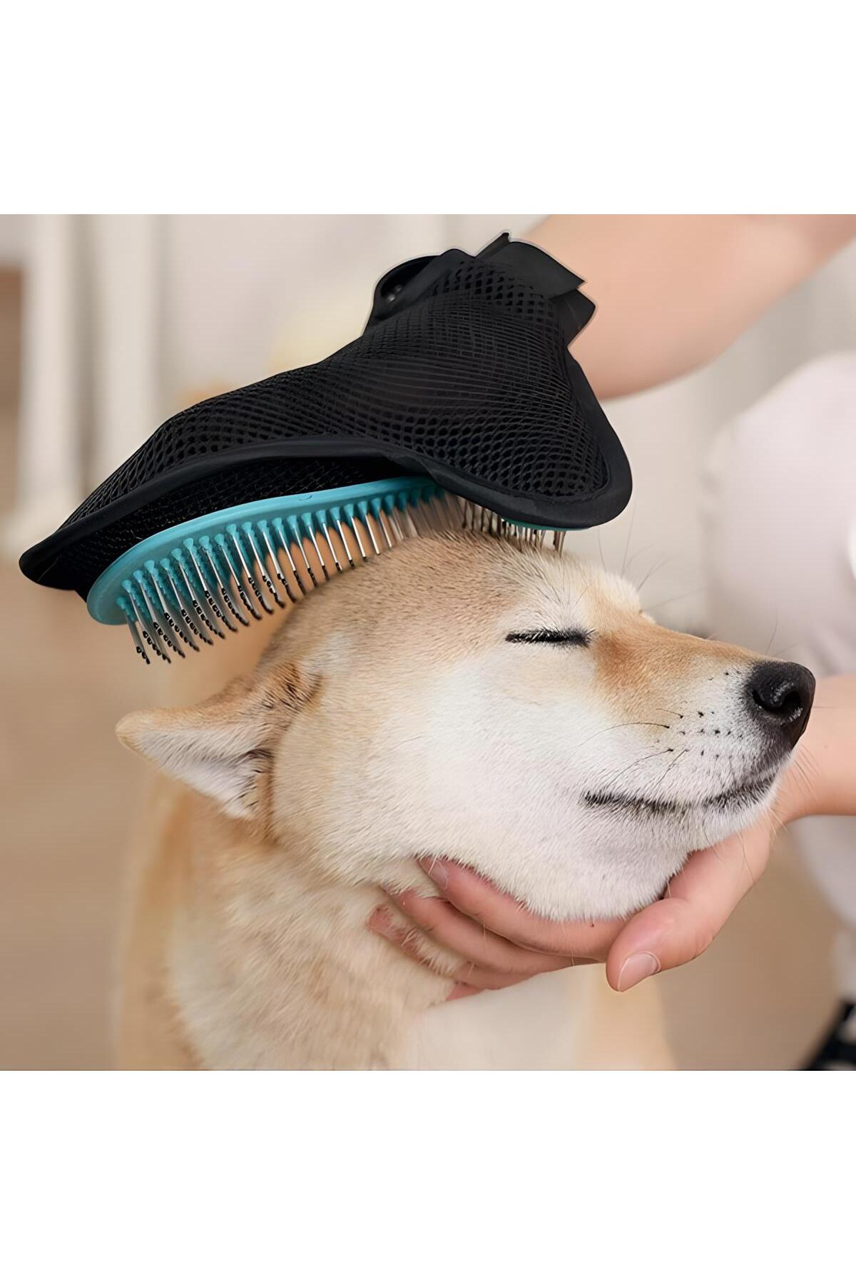 دستکش جمع‌آوری موی گربه و سگ ام‌پتس M-PETS