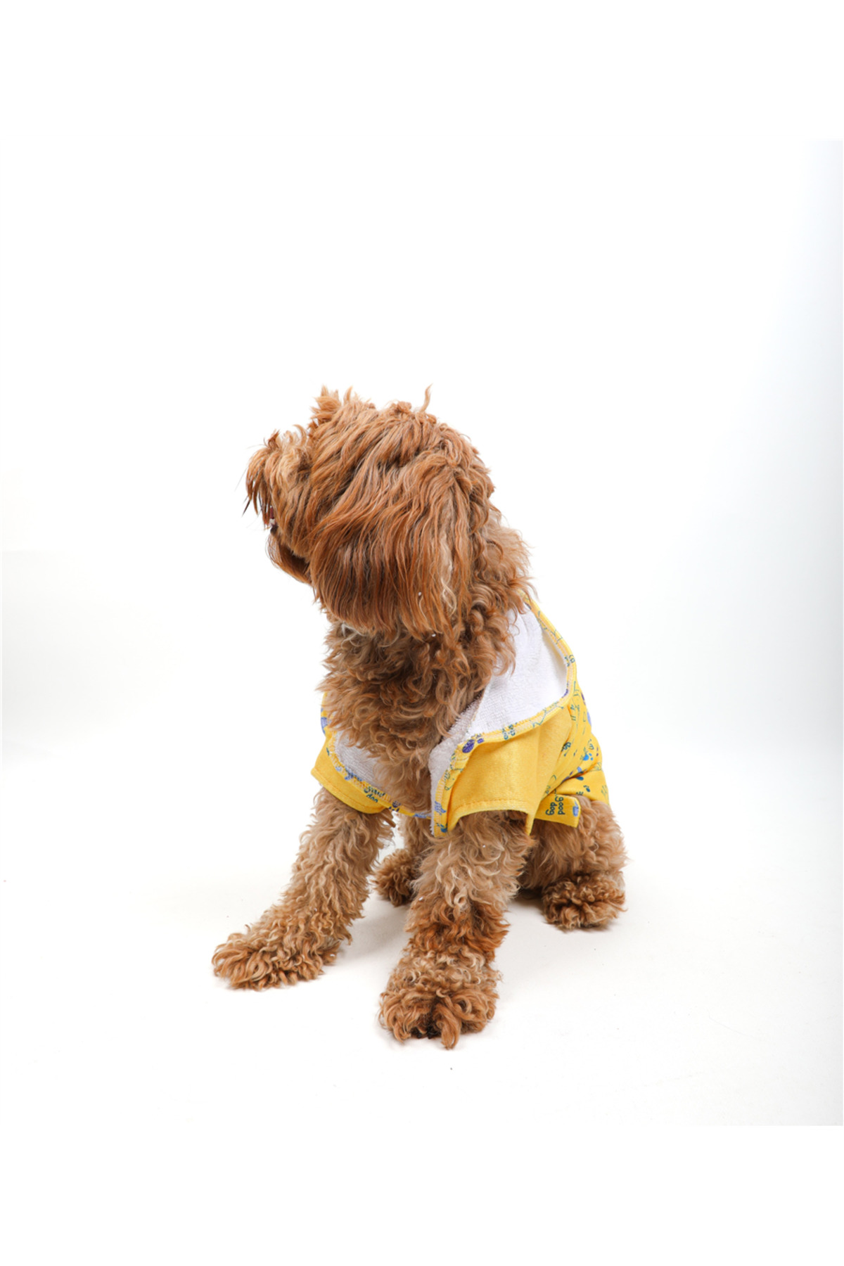 روبدوشامبر سگ زرد تارپاوز TARPAWS Good Dog